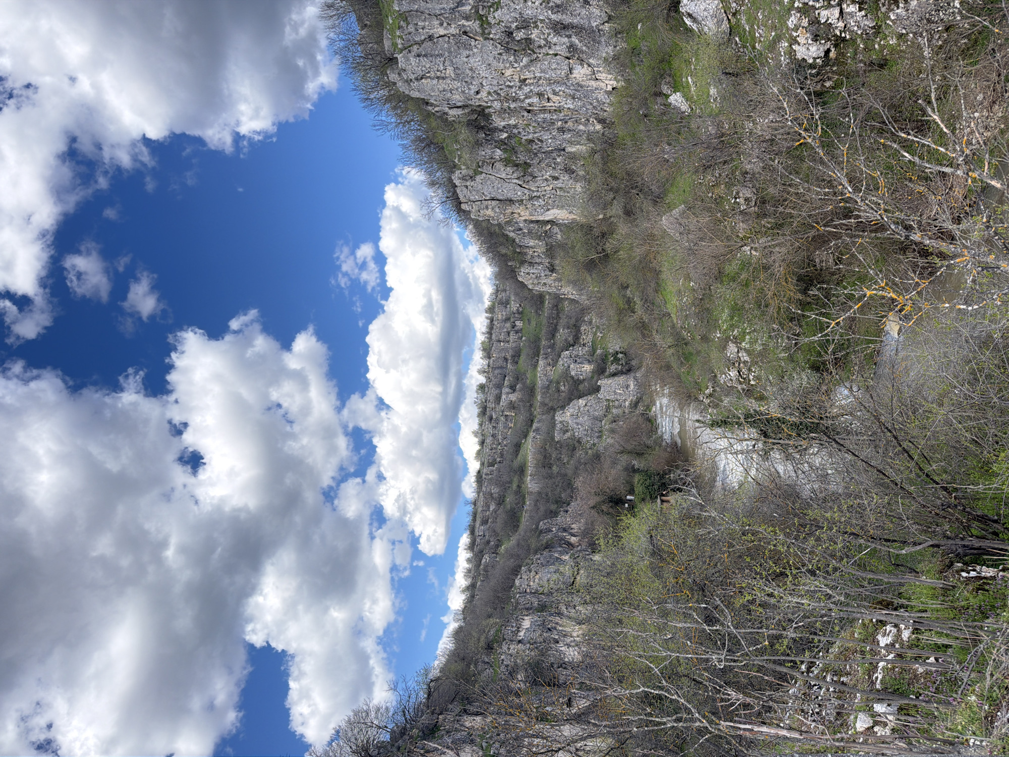 The image depicts the Emen Canyon in Bulgaria. Two rocky cliffs covered with vegetation form a narrow gorge. A river or stream flows through the bottom of the canyon. Above the canyon is a blue sky filled with puffy white clouds. There are trees and bushes sparsely covering the rocks of the canyon. The image appears to be taken from an elevated position, possibly from the edge of one of the cliffs. No people or animals are visible in the image. The lighting suggests it is daytime.