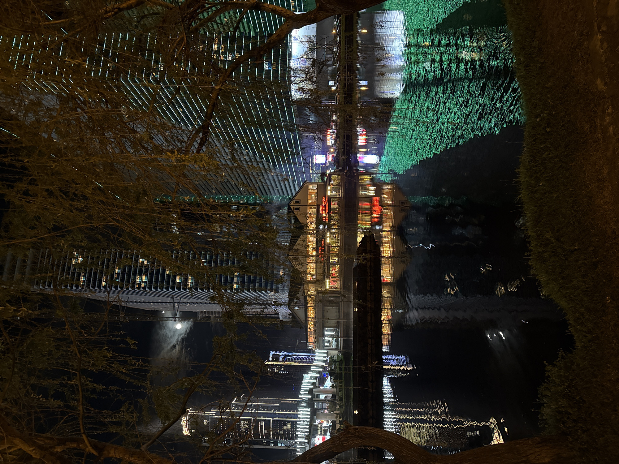 The image portrays a vibrant nocturnal scene along a waterfront in Batumi, Georgia, viewed through the intricate, dark branches of a tree in the foreground. The perspective is slightly elevated, looking across a body of water that prominently reflects the myriad artificial lights of the urban landscape.
The water, likely a river, canal, or bay, shimmers with distorted reflections of buildings and lighting installations from the opposite bank. To the left, a modern architectural structure, possibly a bridge or canopy, is adorned with numerous parallel lines of bright, cool-toned lights, casting long, crisp reflections onto the water's surface.
Further along the bank, a significant portion of the landscape or a large structure is illuminated with intense green lights, creating a striking contrast against the darker water and sky. Several buildings line the far shore, their windows and facades glowing with warm, orange, and white light. One building is particularly noticeable with a vivid red neon sign, which appears to spell out "REDDISH CHOICE OF FOOD."
In the upper-right section of the upright image (center-left in the rotated original), a bright, circular light source, resembling the moon partially obscured by light clouds or a very powerful artificial light, casts a distinct, broad reflection across the water. The sky is dark, emphasizing the brilliance of the artificial illumination. The scene conveys a lively yet serene atmosphere, showcasing the city's modern development and its captivating beauty at night, with the natural element of the foreground tree providing a sense of depth and framing.