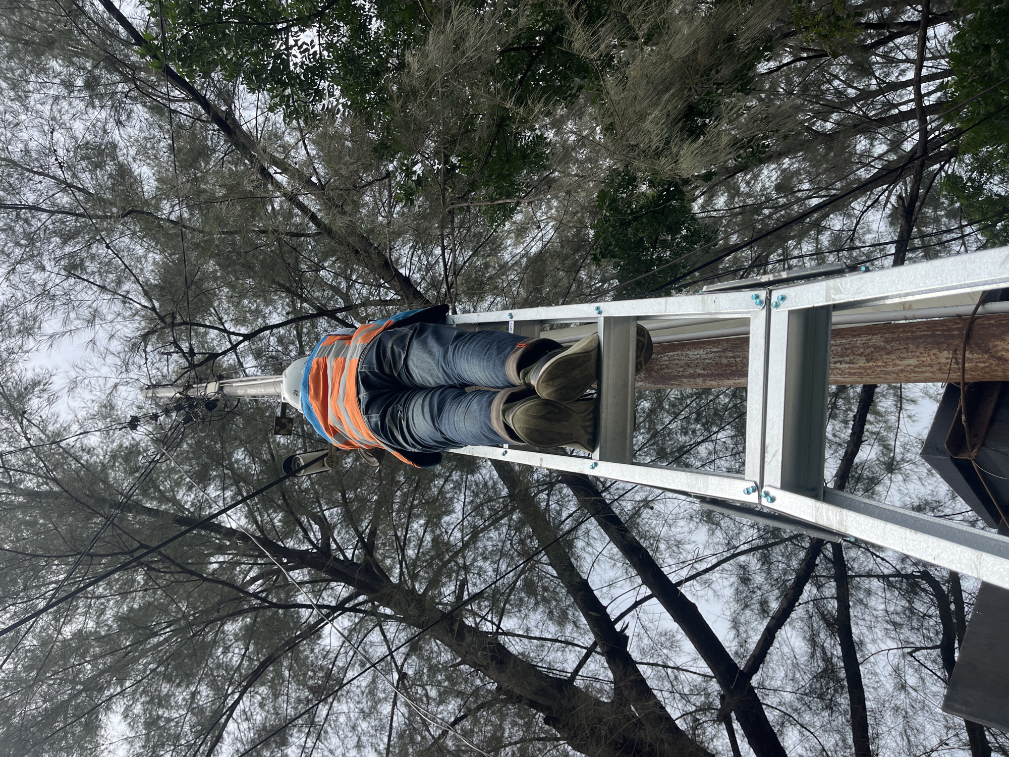 An individual wearing a hard hat, orange vest, jeans, and boots is positioned on a metal ladder. The ladder is leaning against a wooden pole, possibly a utility pole. Overhead, the scene is filled with tree branches and power lines against a cloudy sky. The location is Tambonbaroh, Indonesia.