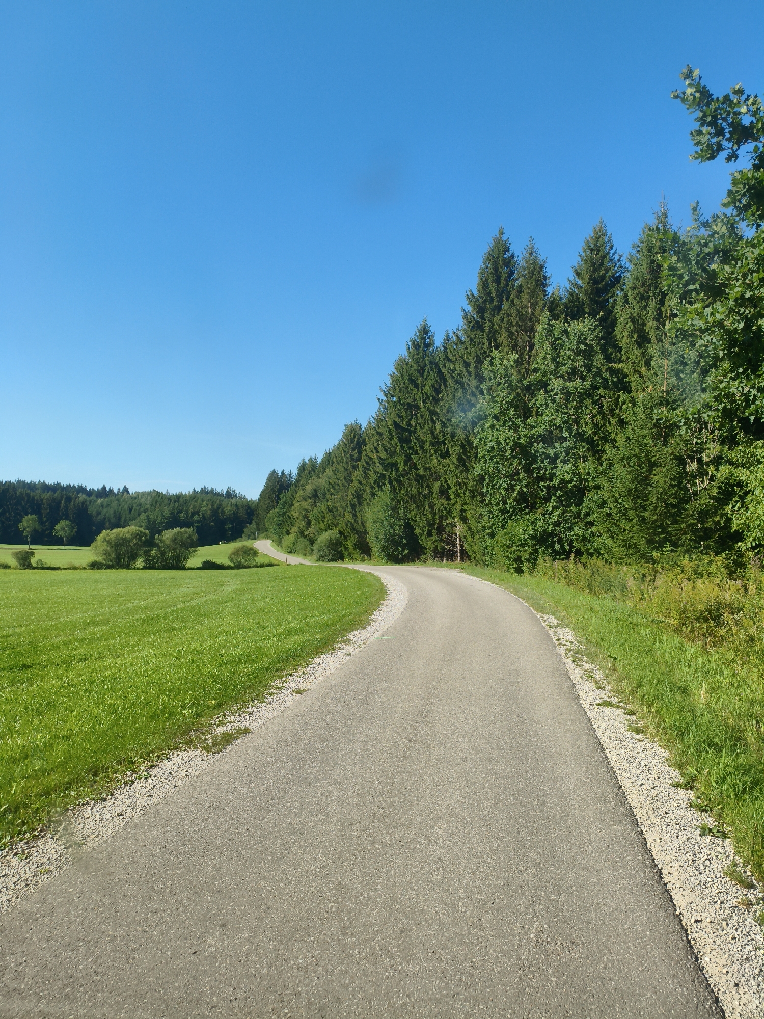 The image shows a paved road curving to the right, bordered by a gravel shoulder and a vibrant green grassy field on the left. A dense forest of evergreen and deciduous trees lines the right side of the road, extending into the distance. The sky is a clear, bright blue. The scene depicts a rural landscape, likely in or around Biessenhofen, Germany, characterized by natural elements and a man-made pathway. No people or specific actions are visible.