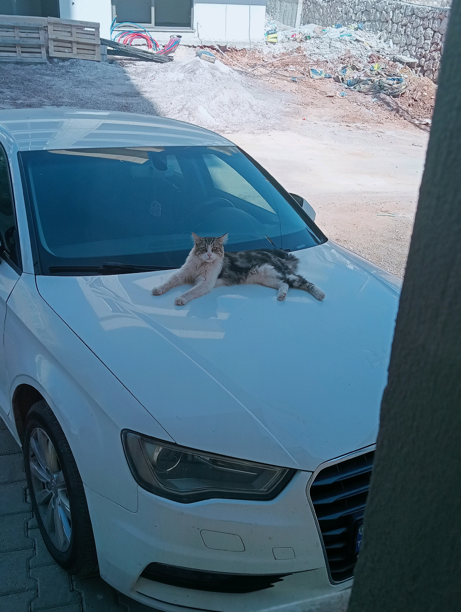 In Silifke, Turkey, a medium-sized, long-haired cat with white and tabby markings is resting on the hood of a white Audi A3. The cat is lying down with its front paws extended forward and its head turned towards the viewer. The car is parked on a paved surface, with a construction site visible in the background. The construction site includes piles of dirt, building materials, and plumbing pipes. The scene suggests a temporary stopping point in a developing area.