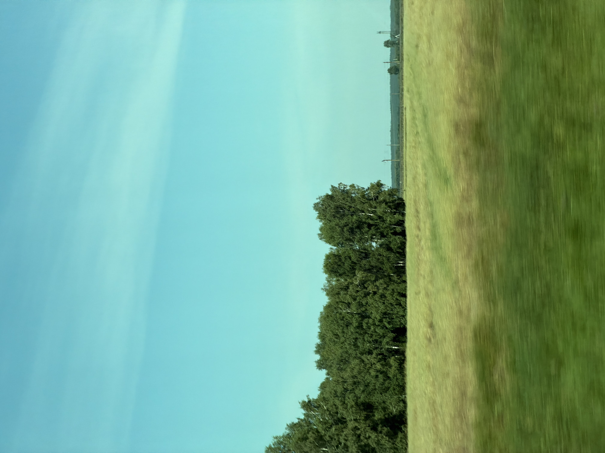 This image shows a landscape with a clear blue sky with faint wispy clouds. In the middle ground, there is a dense line of green trees. In the foreground, there is a blurry field of green grass, suggesting motion. In the far distance, on the horizon, there are a few structures that appear to be power lines or small buildings. The scene is consistent with a rural or semi-rural environment, possibly the outskirts of Bezmenovo, Russia, given the typical scenery of such locations. There are no people or animals visible in the image. The overall impression is of a bright, sunny day in a natural setting.