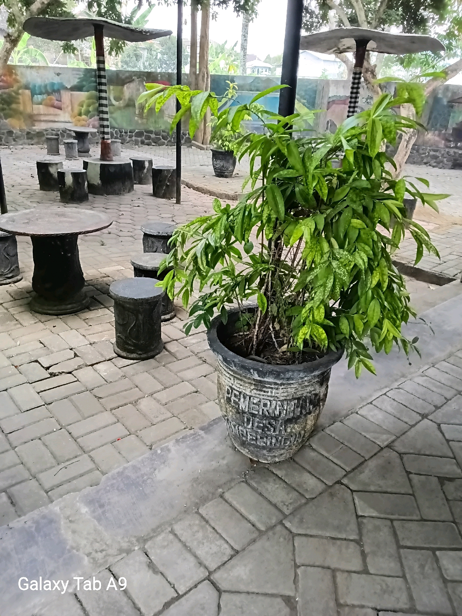 The image shows an outdoor seating area paved with interlocking gray bricks. In the foreground, a large potted plant with dense green foliage stands on the right. The pot is dark-colored and has embossed text, appearing to read "PEMERINTAH DESA" (Village Government) and other illegible words. Behind the plant, a circular concrete table with a textured base and a flat top is visible. Surrounding the table are several cylindrical concrete stools, also with textured bases, and more seating arrangements with umbrella-like canopies are visible further in the background. The environment appears to be a public space, possibly a village common area or park, given the presence of outdoor furniture and a mural on a wall in the background. The scene is well-lit, suggesting daytime. The text overlay in the bottom left corner indicates the image was captured by a "Galaxy Tab A9". The general location is specified as Karangan, Indonesia.