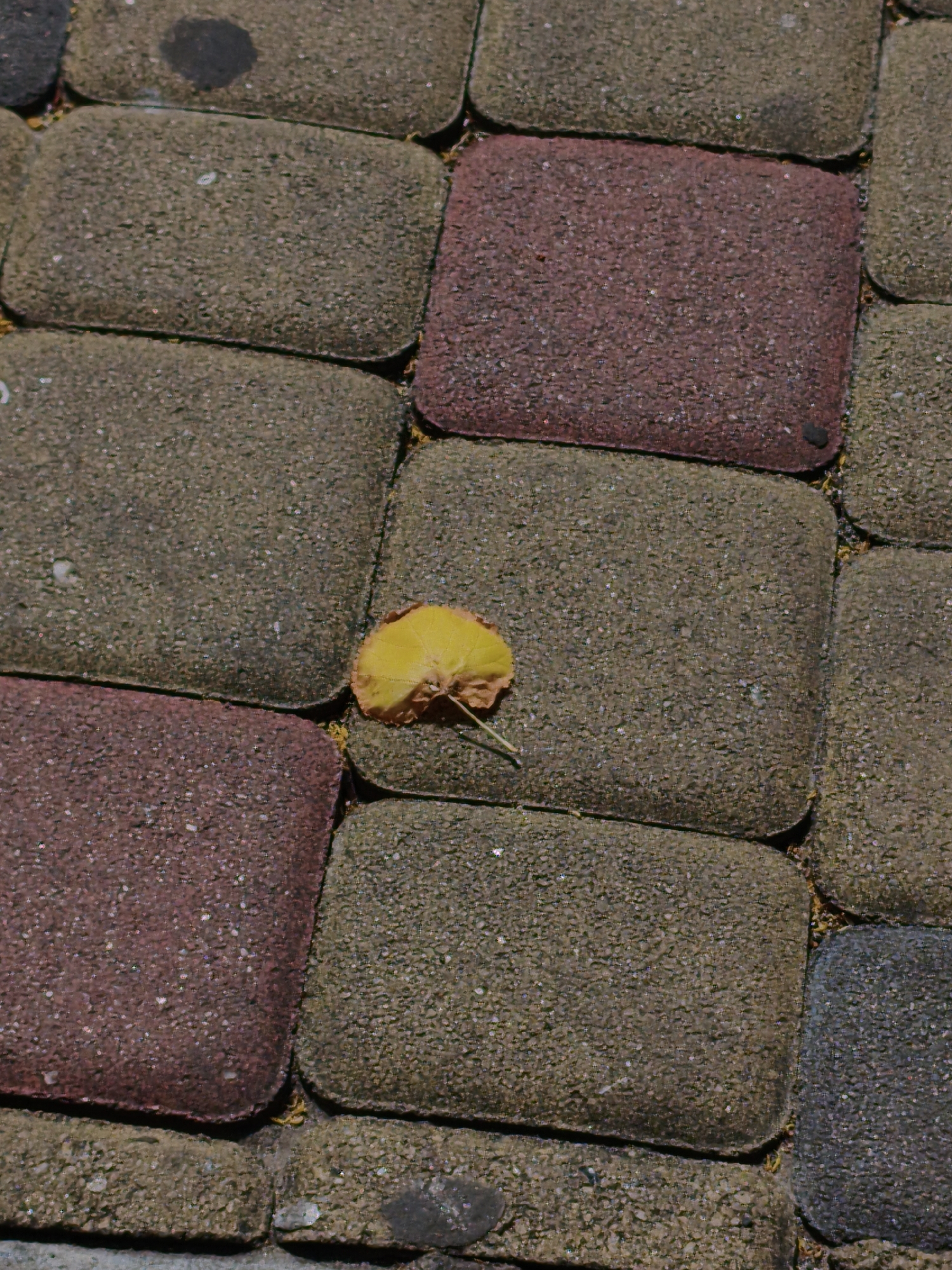 The image depicts a close-up, overhead view of a paved walkway composed of rectangular cobblestones in varying shades of grey, brown, and a reddish-brown hue. A single, yellow, fallen leaf rests on one of the grey cobblestones, slightly off-center to the right. The surface of the cobblestones appears textured and slightly weathered. The lighting suggests it is daytime, with some shadows indicating the direction of the light source. There are no people or animals visible in the frame. The environment is urban, likely a pedestrian area. The specific location of Velyka Bahachka, Ukraine, is stated as the context, but there are no visually identifiable elements within the image that specifically denote this location.