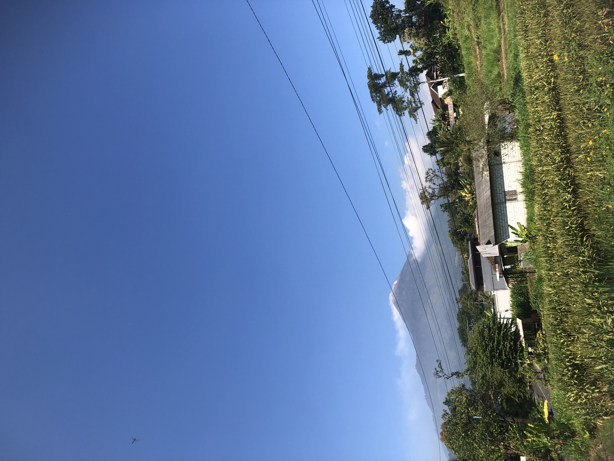 The image captures a rural landscape in Sukosari, Indonesia, dominated by a clear blue sky and a distant, mist-shrouded mountain peak that appears to be a volcano, with a faint plume of smoke or ash visible near its summit. In the foreground, lush green fields, likely cultivated with corn or similar crops, stretch across the frame. Several houses, some appearing to be under construction with white brick walls and corrugated metal roofs, are nestled amongst the vegetation and rolling hills. Mature trees with dense foliage dot the landscape, and power lines crisscross the upper portion of the image, indicating the presence of human infrastructure. A single, small dark object, possibly a bird or insect, is visible in the upper left quadrant of the sky. The overall impression is one of a serene, natural environment with evidence of habitation.