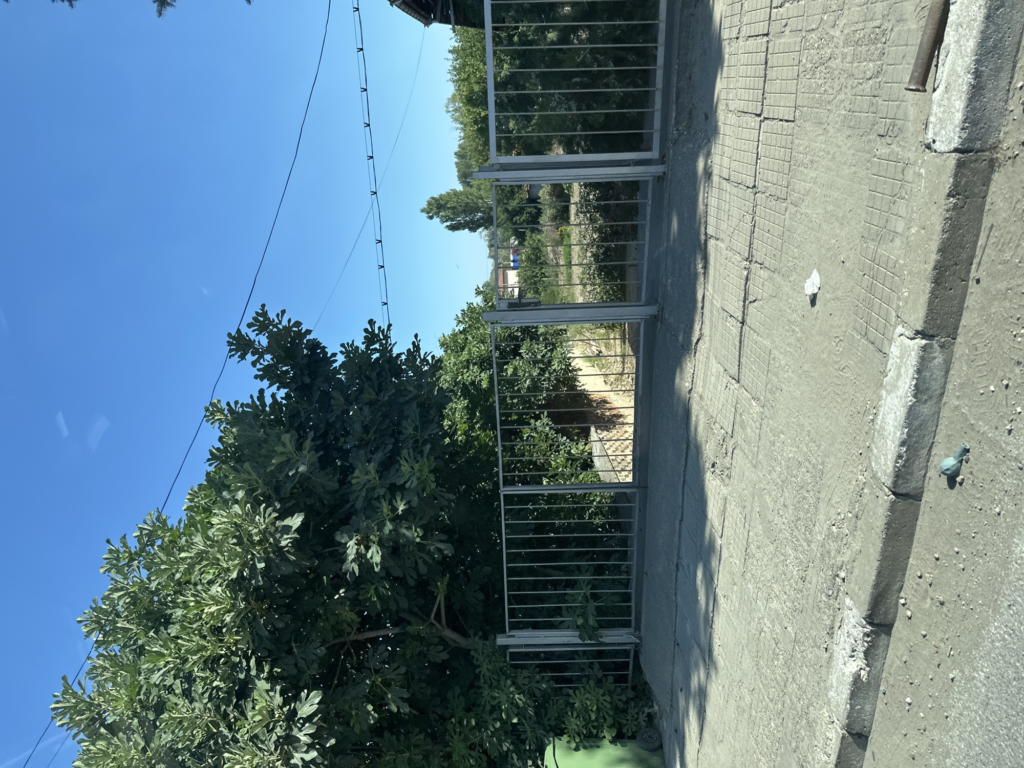 This is a medium shot of a street view in the city of Yoakim Gruevo, Bulgaria. In the foreground, a grey concrete sidewalk runs along a curb. The sidewalk is cracked and worn in places, with a few small stones scattered on its surface. A small piece of white paper lies on the sidewalk. Beyond the sidewalk is a metal fence, which appears to be a gate. The fence is made of vertical metal bars. To the left of the fence, a large green garbage bin with a wheel is visible. Behind the fence, there is a lush green area with trees and bushes. Some of the foliage is quite dense. The sky is clear and blue. In the distance, across the fenced area, more trees and some buildings can be seen. A few power lines are strung across the sky. The scene appears to be a residential or semi-rural area on a sunny day.