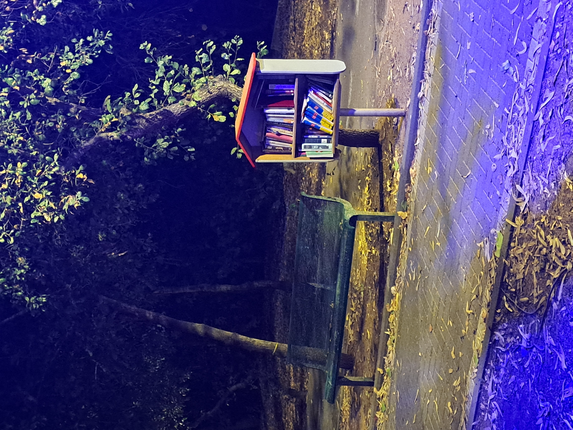 In Ramat HaSharon, Israel, at night, a scene unfolds on a paved walkway lined with fallen leaves. To the left, a weathered, dark green metal bench with a slatted seat and backrests sits under a tree with dappled light illuminating its trunk. To the right, a small, freestanding bookshelf with a red-pitched roof is filled with books. The bookshelf is supported by a thin pole. The ground is a mix of paved sections and dirt areas with scattered leaves, illuminated by a cool, blue light originating from the lower left of the frame. Tall trees with dark foliage dominate the background, creating a somber, nocturnal atmosphere.