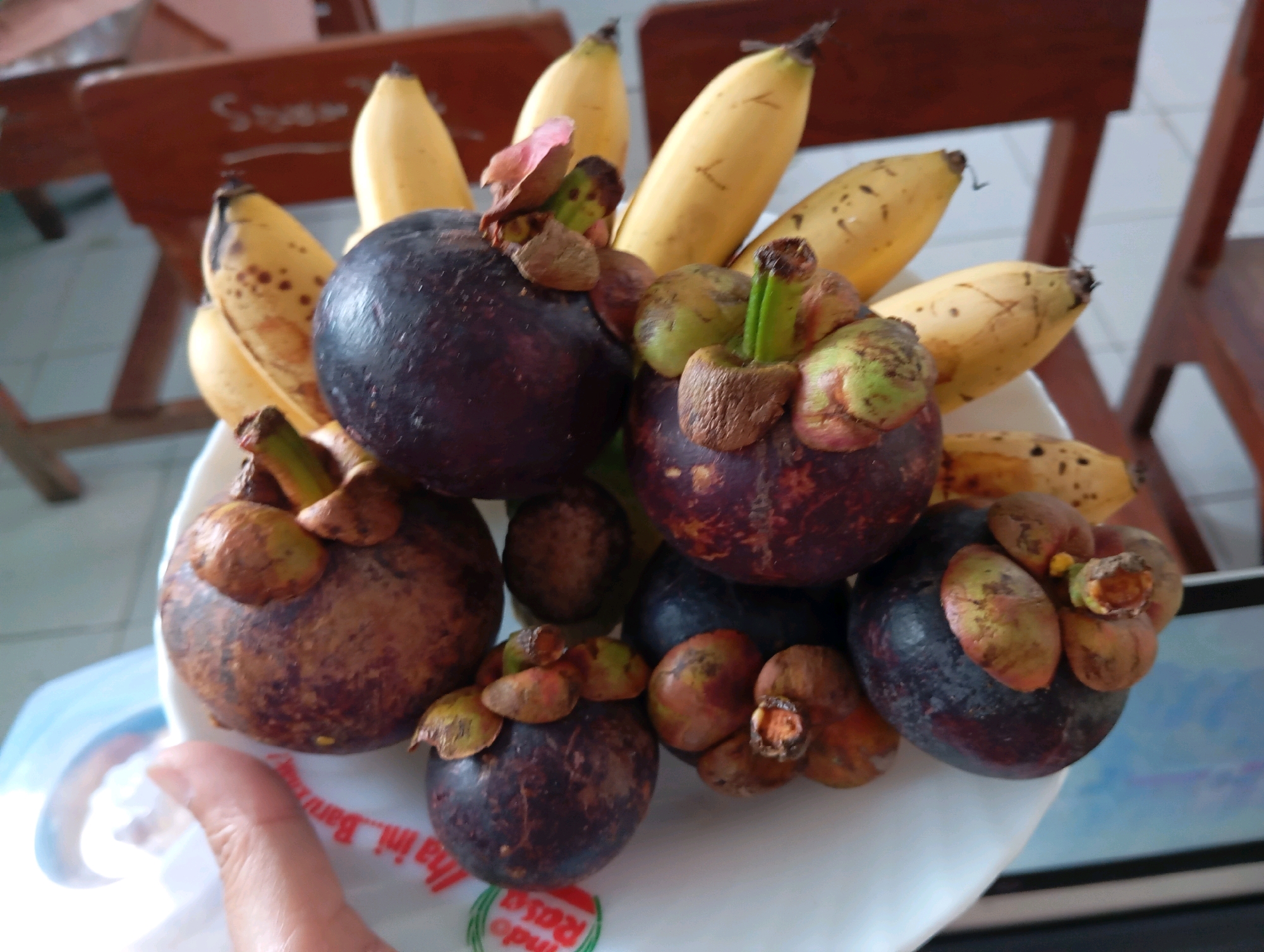 A white plate of fruit, including bananas and mangosteens, sits on a table. The bananas are yellow with some brown spots. The mangosteens are dark purple with green and brown caps. The plate is on a light-colored surface, possibly a placemat, with text visible. In the background, wooden chairs and tables are visible, suggesting an indoor setting. The lighting is bright, casting some shadows. The image is taken from a slightly elevated angle. This scene is located in Curah Kalong, Indonesia.
