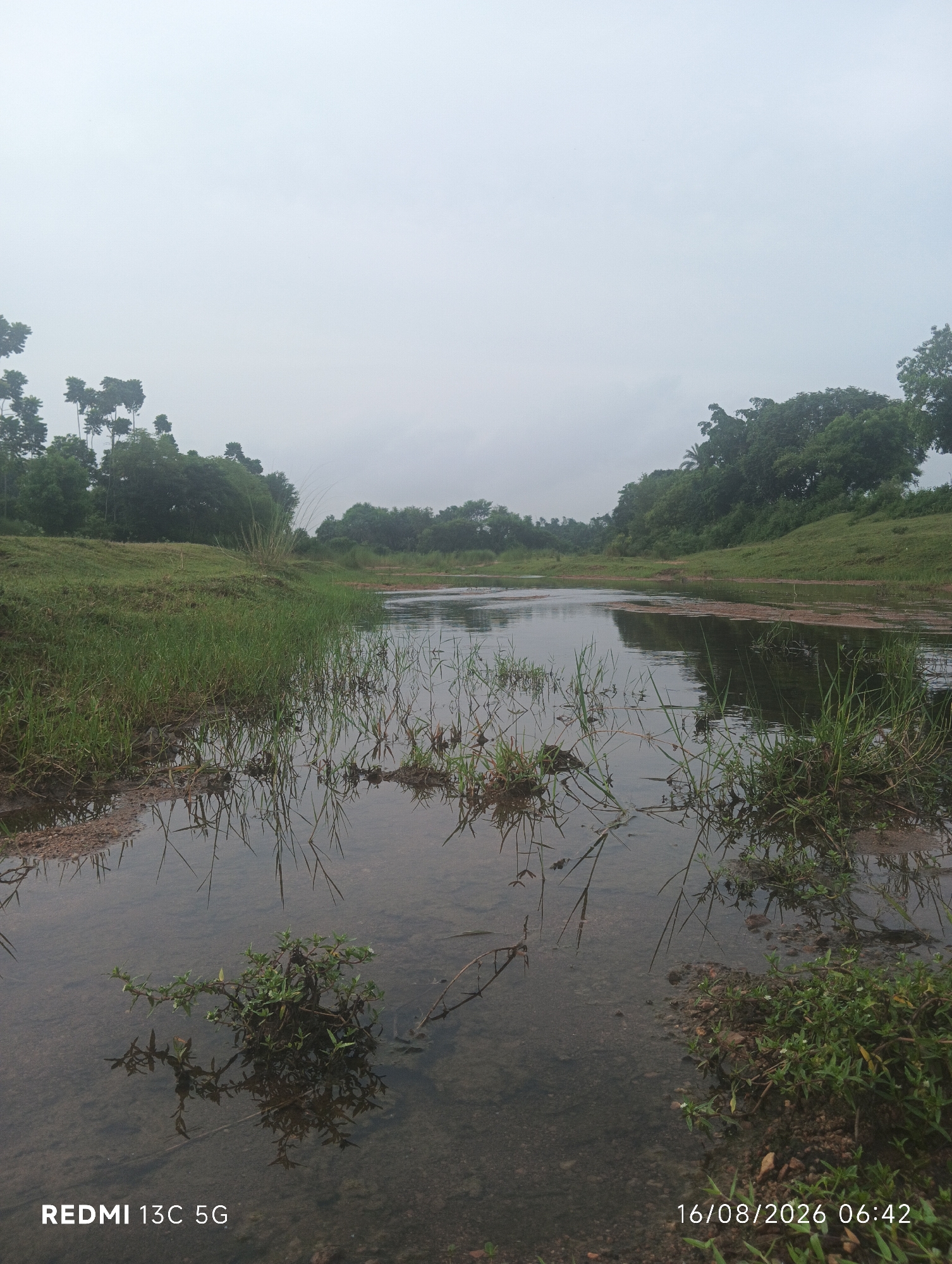 The image depicts a serene natural landscape with a body of water in the foreground, likely a river or stream, reflecting the overcast sky. Lush green grass lines the banks of the water, with some vegetation growing directly in the shallows. In the background, a dense forest of trees creates a natural backdrop. The overall impression is one of a peaceful, undeveloped natural area. The watermark "REDMI 13C 5G" and the date "16/08/2026 06:42" are visible in the bottom corners of the image, indicating it was taken with a Redmi 13C 5G phone on August 16, 2026, at 6:42 AM. The location is specified as Baida chak, India.