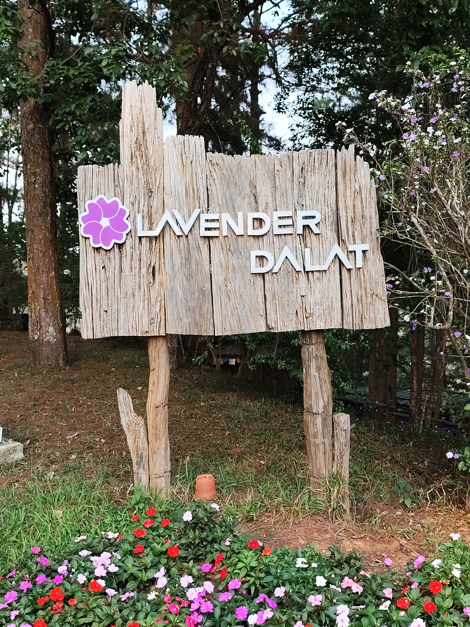 The image shows a rustic wooden sign that reads "LAVENDER DALAT" in white block letters, with a purple flower emblem to the left of the word Lavender. The sign is supported by three wooden posts and sits in a grassy area with red, pink, and white flowers at its base. Behind the sign are trees and other foliage, suggesting a natural or garden setting. An upturned terracotta pot sits to the right of one of the supporting wooden poles. The sign is likely located in Da Lat, Vietnam, as indicated by the sign itself. There are no people visible in the frame.