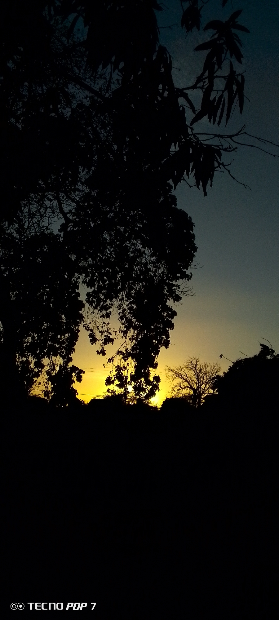 The image depicts a sunset in what appears to be a rural or semi-rural area, possibly near Altagracia, Venezuela. The foreground is predominantly dark, with silhouettes of trees and foliage. A bright, golden light emanates from the horizon, indicating the setting sun. The sky transitions from a yellow-orange hue near the horizon to a dark blue-grey towards the upper portion of the image. The camera or phone that took the picture seems to be a TECNO POP 7.