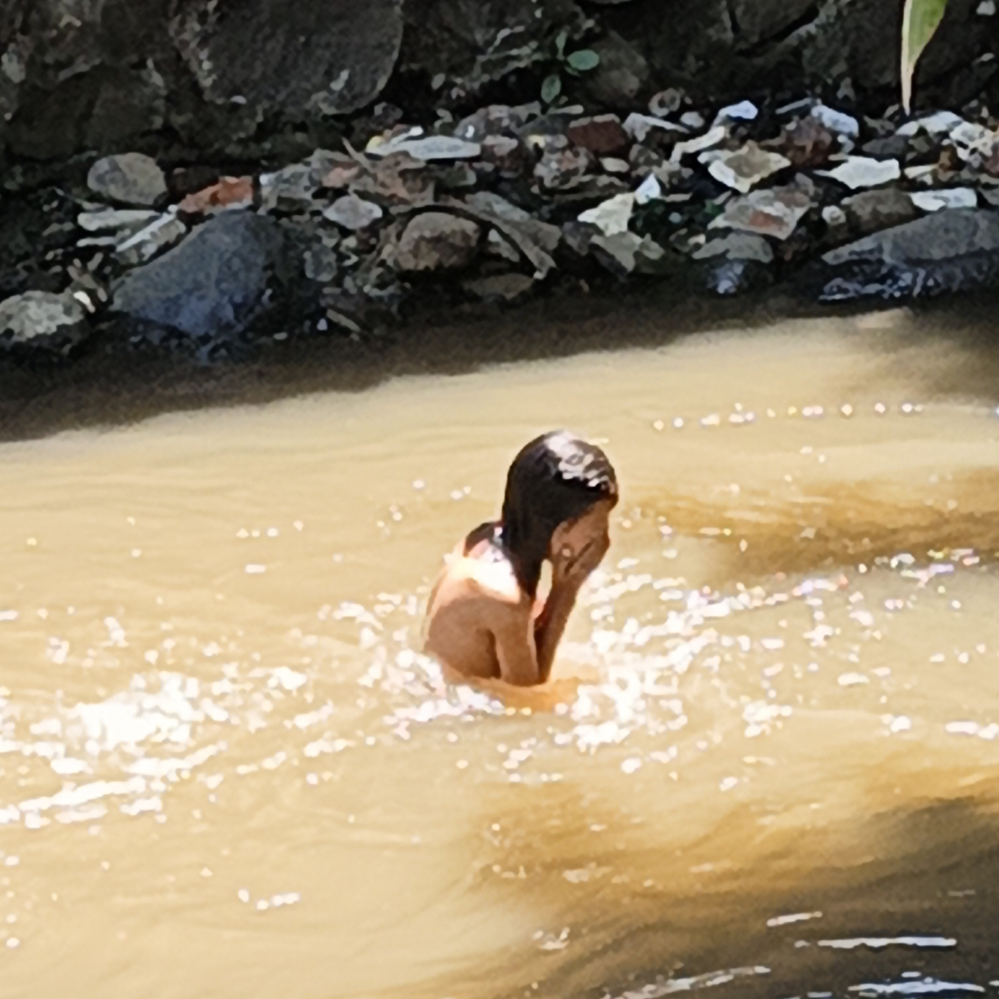 A young person, with dark hair partially covering their face, is partially submerged in murky brown water. Their hands are raised, and it appears they are covering their face with their right hand. The water is disturbed, creating small ripples and splashes, some of which are catching the light. In the background, a rocky bank is visible, with various stones and some sparse vegetation. The scene suggests an outdoor, natural setting, possibly a river or stream in the village of Mangli, Indonesia.