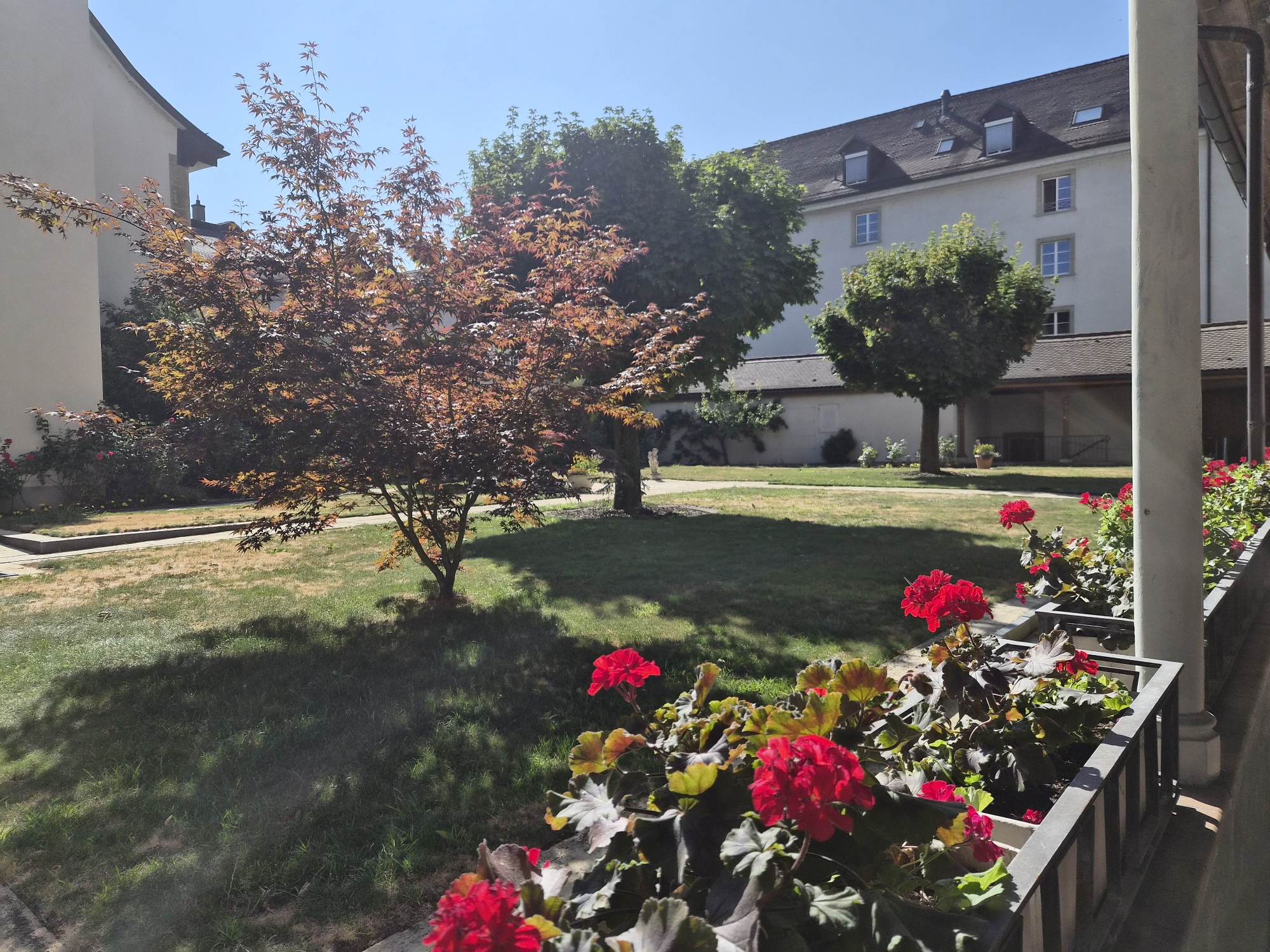 The image depicts a sunlit courtyard in Fribourg, Switzerland, with a building in the background and a garden in the foreground. The building, likely a residential or institutional structure, has a light-colored facade, dark-pitched roof with dormer windows, and multiple floors with white-framed windows. Two trees, one with reddish-brown foliage and another with lush green leaves, are situated in the courtyard. The foreground features a planter box filled with vibrant red geraniums and other plants, situated on a paved area adjacent to a covered walkway supported by columns. The ground is covered with green grass, and shadows from the trees are cast across it. The sky is a clear, bright blue. No people are visible in the scene.