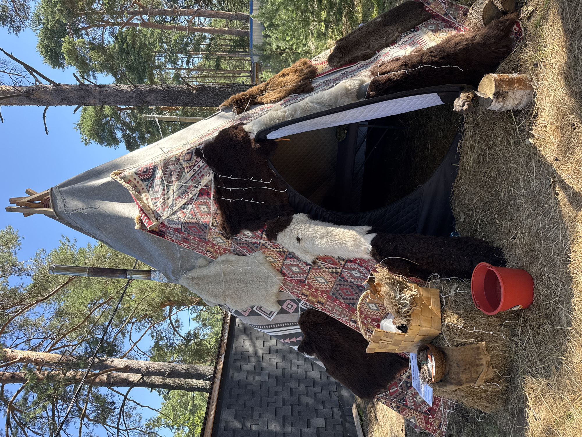 A teepee, adorned with furs and a patterned textile, stands outdoors in Ozerki (Krasnodolinskaya), Russia. The teepee is supported by wooden poles and has a metal chimney extending from its apex. A woven basket sits on a hay bale, containing dried plant materials and other items. A red bucket filled with liquid is placed on the ground nearby, adjacent to a small wooden log. The ground is covered with straw and dry grass. The background features tall pine trees and a clear blue sky, suggesting a natural, possibly rural or wooded, setting within the Ozerki (Krasnodolinskaya) area.