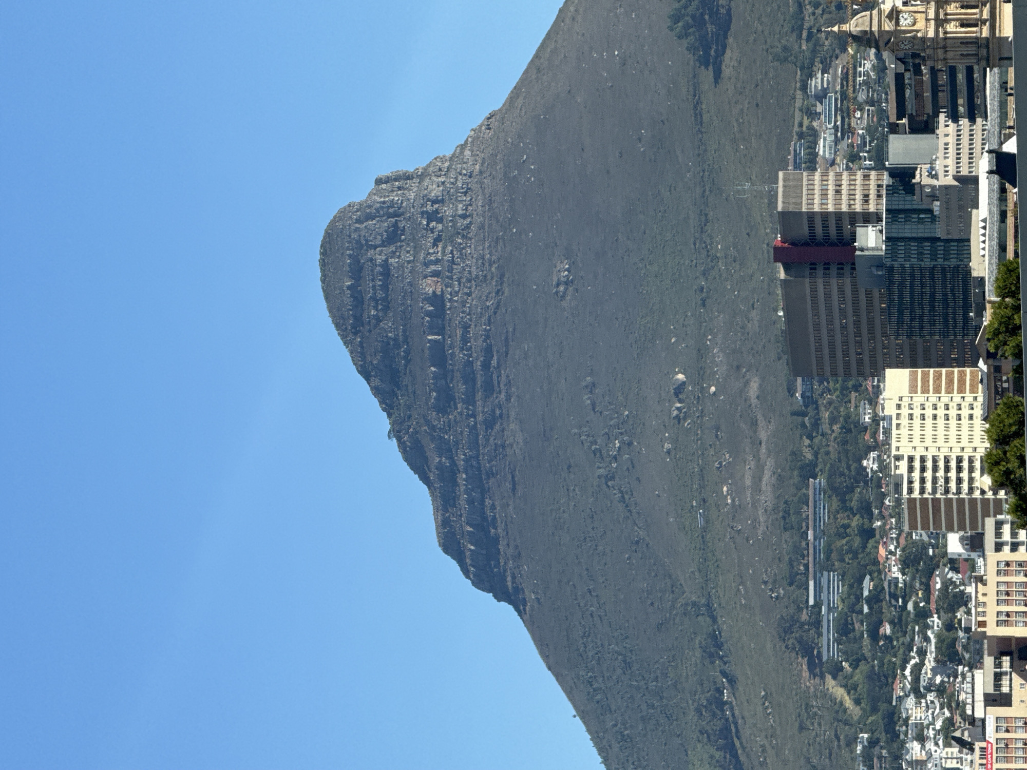 The image, when correctly oriented (rotated 90 degrees counter-clockwise), presents a vibrant, clear-day view of Cape Town, South Africa, showcasing its dramatic natural landscape alongside its urban development.
On the left side, a majestic mountain dominates the scene. Its upper reaches are characterized by rugged, rocky cliffs with visible horizontal layering, while its lower slopes are densely covered in rich green vegetation. This prominent peak is part of the iconic Table Mountain range, providing a striking natural backdrop to the city.
To the right of the mountain, the sprawling cityscape of Cape Town unfolds. A variety of buildings are visible, ranging from modern high-rise office blocks and residential towers to smaller, more traditional structures. Many buildings feature flat roofs and numerous windows, some reflecting the bright sky. A significant architectural landmark, a grand building topped with a dome and a prominent clock tower, identifiable as the Cape Town City Hall, is visible towards the upper right, adding a historical touch to the modern skyline. The city appears nestled at the base of the mountain, with green areas and trees interspersed among the urban structures.
The sky is a brilliant, cloudless blue, indicating clear weather and bright sunshine. The strong, crisp lighting suggests it is daytime, likely mid-morning or early afternoon. No specific human activities or individuals are clearly visible, but the bustling urban environment implies a vibrant city life.
Upon closer inspection, particularly in the zoomed-in sections, the text "CITY OF CAPE TOWN" is faintly discernible on a sign or banner on a building in the lower right portion of the cityscape, confirming the location. Some buildings also exhibit solar panels on their rooftops, indicating contemporary energy solutions.