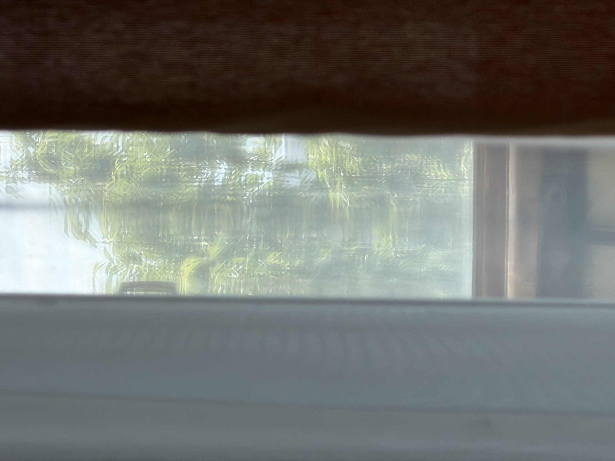 The image shows a view from behind a window shade looking out at a scene. The scene outside includes what appears to be a tree with weeping branches, potentially a willow tree, along with a structure that might be part of a building or outdoor furniture such as a bench. The details are obscured by the window and the partially drawn shade. The city of Moscow, Russia is not discernible from the available visual information.