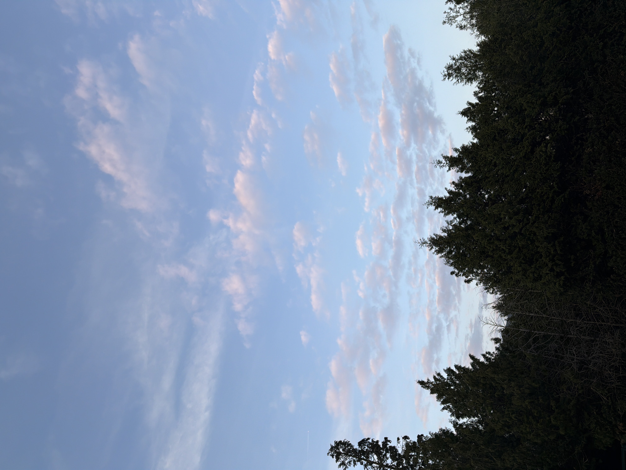 The image shows a view of the sky above Esch-sur-Alzette, Luxembourg. Light blue sky is visible with scattered clouds tinged with pink, suggesting sunrise or sunset. Dark green tree branches frame the right side of the image. No people or specific objects besides the sky, clouds, and trees are identifiable.