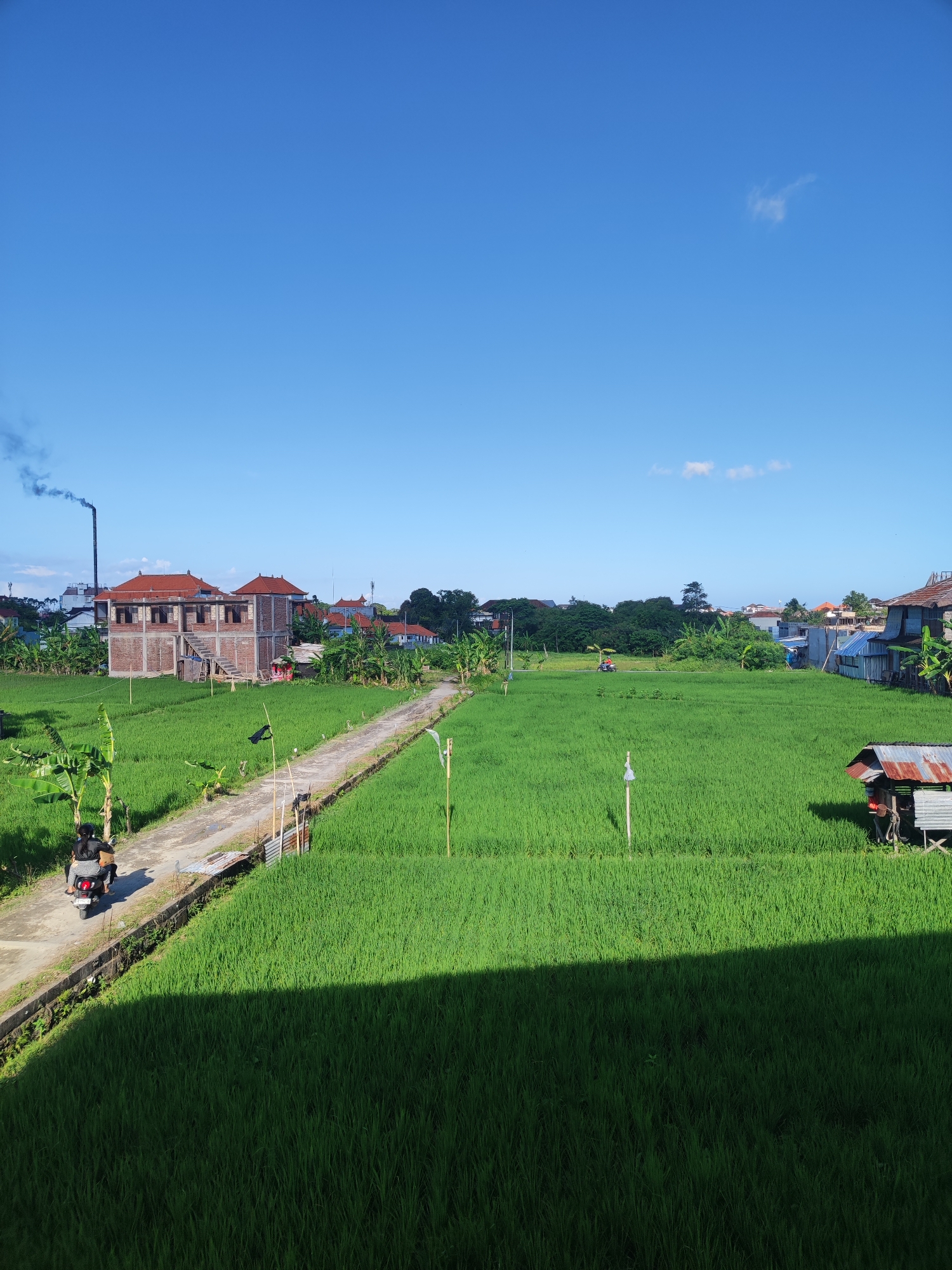 The image shows a vibrant green rice paddy field in North Kuta, Indonesia. A narrow concrete path bisects the field, leading towards buildings in the distance. A brick structure with a red tile roof and a tall smokestack is visible on the left. A small shed stands in the lower right. A motorcycle with two occupants travels along the path. The sky is clear blue with a few scattered clouds. The foreground is in shadow, contrasting with the brightly lit field.