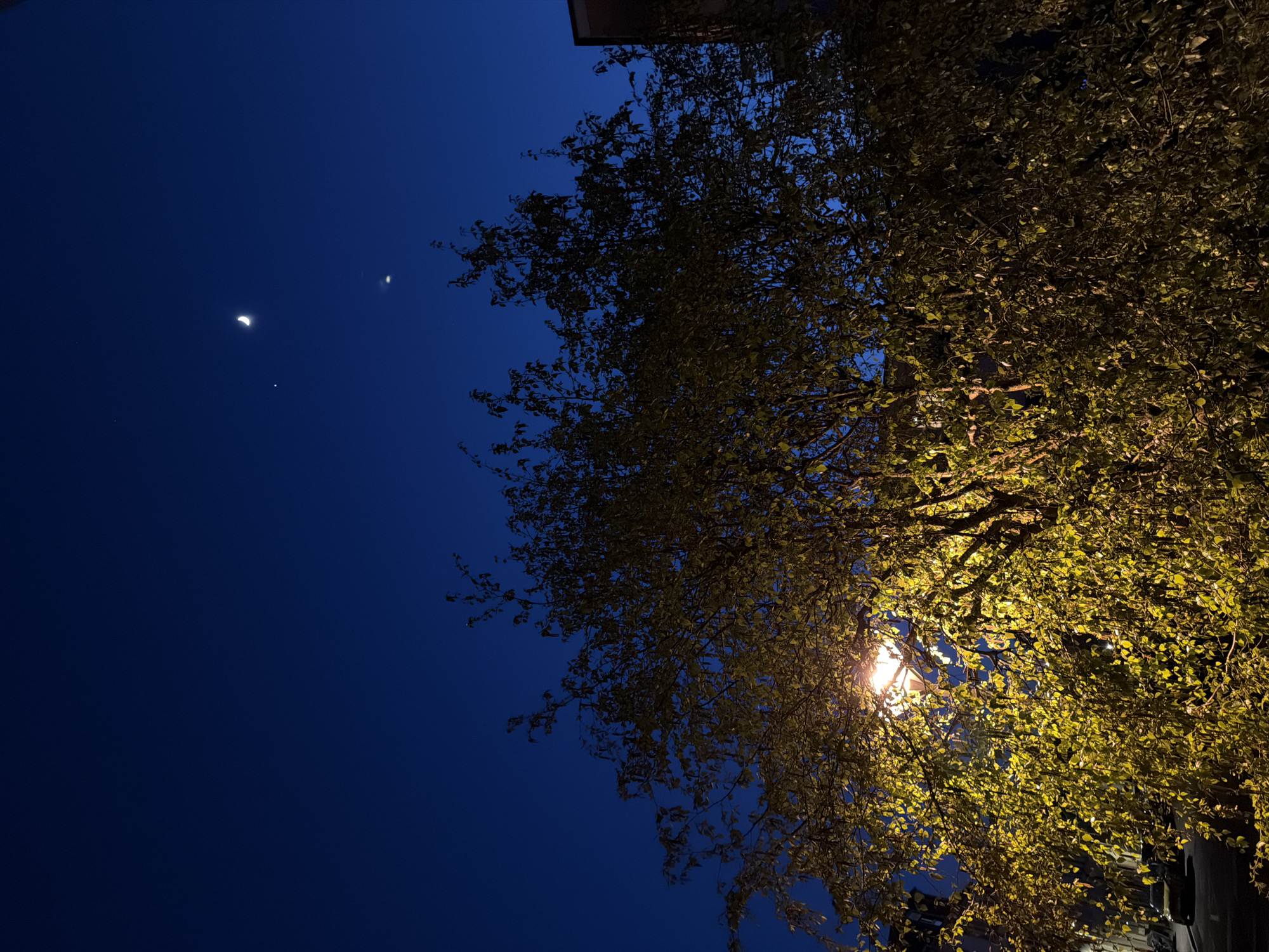 The image captures a night scene in Esch-sur-Alzette, Luxembourg, featuring a dark blue sky on the left, contrasted by a brightly lit tree on the right. A crescent moon is visible in the upper left quadrant of the sky, accompanied by two smaller points of light. The tree's leaves are illuminated by a light source, possibly a street lamp, positioned within the foliage. The light gives the leaves a yellow hue. A portion of a building's roof is visible in the upper right corner.