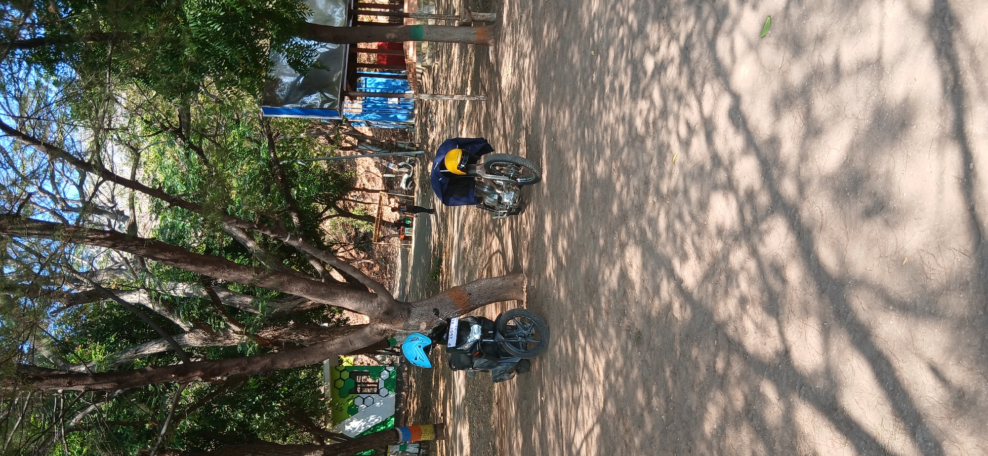 In Banyuglugur, Indonesia, two motorcycles are parked on a dirt ground beneath trees. The motorcycle on the left is black with a blue helmet placed on its seat. The motorcycle on the right has a yellow helmet and is covered by a dark blue tarp. In the background, a white building with green hexagonal patterns is visible, along with a blue shipping container structure. A person is seen walking in the distance. The scene is outdoors, with dappled sunlight creating shadows on the ground.