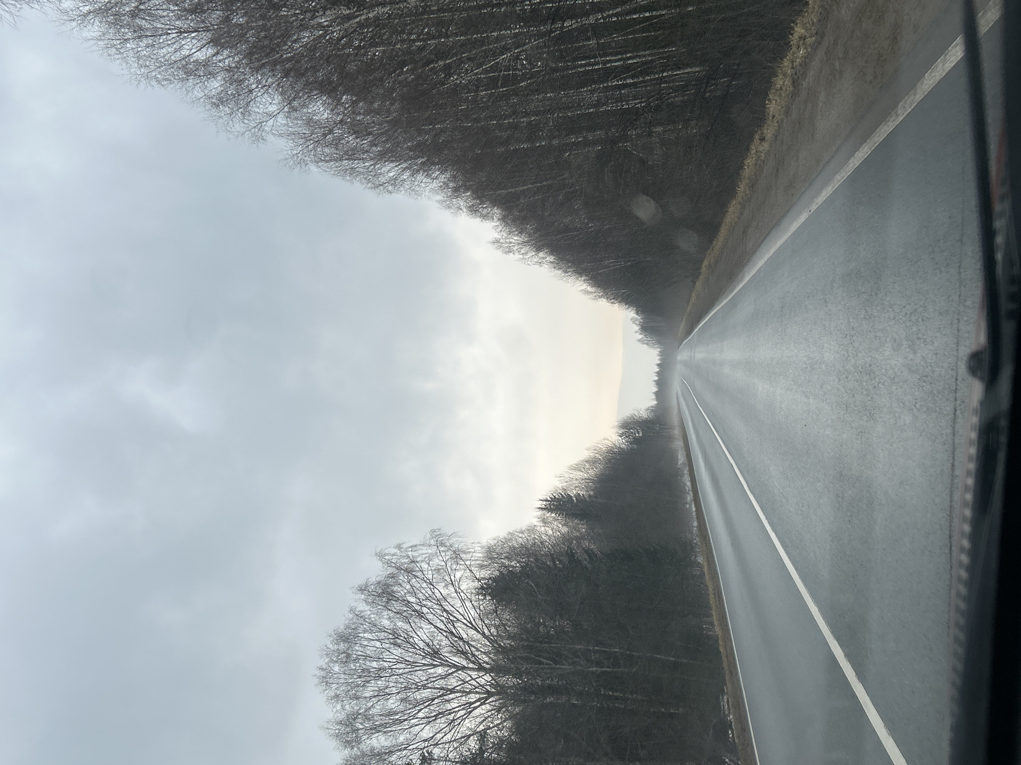 The image depicts a straight asphalt road bisecting a landscape characterized by bare trees and an overcast sky. The road, marked with a white line, appears wet, reflecting the ambient light. The trees on either side of the road lack foliage, indicating a winter or early spring season. The sky is uniformly gray, suggesting cloud cover and reduced visibility. The location is presumed to be in Belaya Gora, Russia. There are no people visible in the scene.