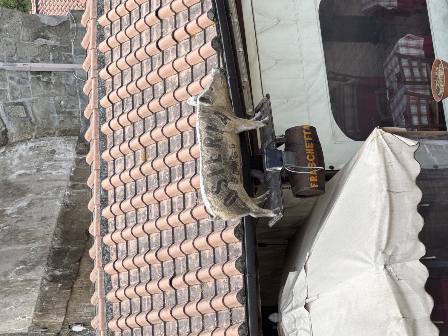 This image, taken in Ariccia, Italy, presents a detailed view of a building's exterior, likely a traditional restaurant or eatery. A prominent decorative wild boar sculpture is mounted horizontally on the facade, resting above a terracotta tiled roof. The word "CINGHIALE" (Italian for wild boar) is visibly inscribed on the boar's body, hinting at the establishment's culinary offerings.
Below the wild boar, a rustic wooden barrel-shaped sign is affixed to the building, featuring the word "FRASCHETTA" in yellow capital letters. A "Fraschetta" is a type of traditional Roman tavern, especially popular in the Castelli Romani area where Ariccia is located, known for local wine and food.
To the right of the barrel sign, a glimpse into the building's interior reveals tables adorned with red and white checkered tablecloths, suggesting a dining area. Below this, a large, light-colored fabric awning or canopy with a scalloped edge is extended, likely providing shade for outdoor patrons. On the far left, a weathered stone wall, possibly part of an older structure or archway, adds to the historical ambiance. The scene is illuminated by natural daylight, indicating clear weather. No people are visible, but the setup strongly suggests a bustling food establishment.