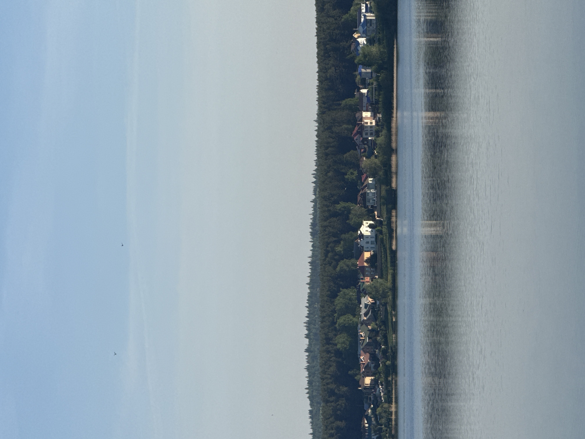 The image captures a waterfront view in Votkinsk, Russia. A tranquil body of water occupies the right portion of the frame. Parallel to the water is a strip of land with a dense tree line and several residential buildings visible. The structures exhibit varying architectural styles and colors, interspersed with lush greenery. The remaining portion of the frame is filled with a pale sky, suggesting a clear, daytime setting. Two birds are visible in the sky. The scene conveys a sense of serenity and a blend of natural and built environments.