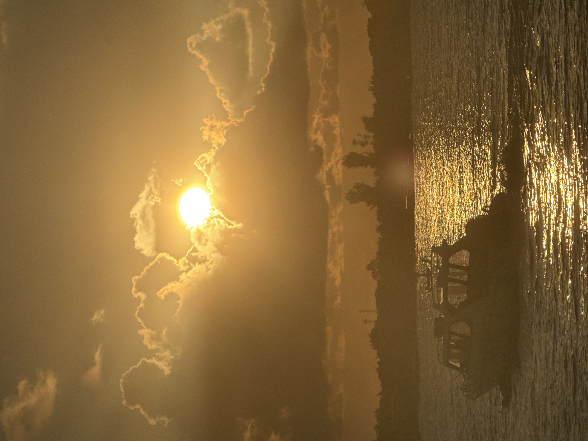 The image captures a serene sunrise or sunset scene over a body of water, likely a sea or a large lake. The sky is dominated by a brilliant, low-hanging sun, partially obscured by soft, wispy clouds that glow with golden and orange hues. The warm light from the sun illuminates the clouds, casting a diffused, ethereal glow across the upper part of the frame.
Along the horizon, a dark, silhouetted stretch of land or dense trees is visible, dividing the sky from the water. The water surface, particularly in the foreground and towards the right, is a shimmering expanse of bright golden reflections, creating a texture of countless small, glittering points as it catches the low sunlight.
In the mid-ground on the water, a dark silhouette of what appears to be a boat or a small vessel is present. Its structure is largely indistinct due to the intense backlighting, but parts of its outline suggest a raised platform or cabin. No specific activity is clearly discernible, but the scene evokes a peaceful moment on the water during the golden hour. The overall color palette is rich with warm tones, ranging from deep oranges and yellows near the sun to more subdued golden browns across the sky and water. There is no visible text in the image.
