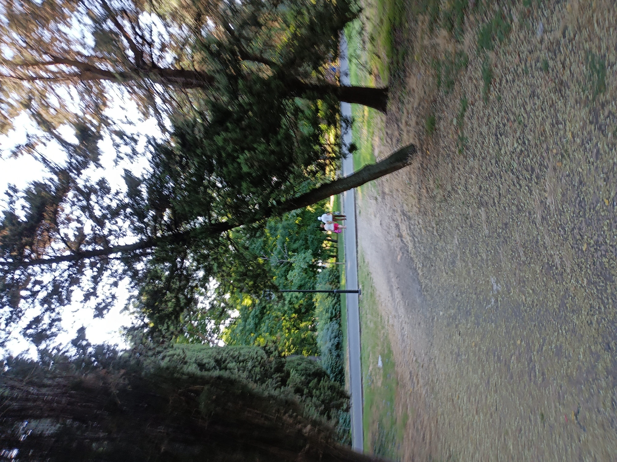 The image depicts a pathway in a park with trees and lush greenery. In the background, a paved path runs alongside a road, and two individuals, a man and a woman, are walking away from the camera. The man is wearing a white shirt and a white cap, and the woman is wearing a pink dress. A lamppost stands on the side of the paved path. The ground of the pathway in the foreground is covered with fallen leaves. The scene appears to be in the Sea Garden of Burgas, Bulgaria, given the characteristic park environment and the presence of trees and pathways.