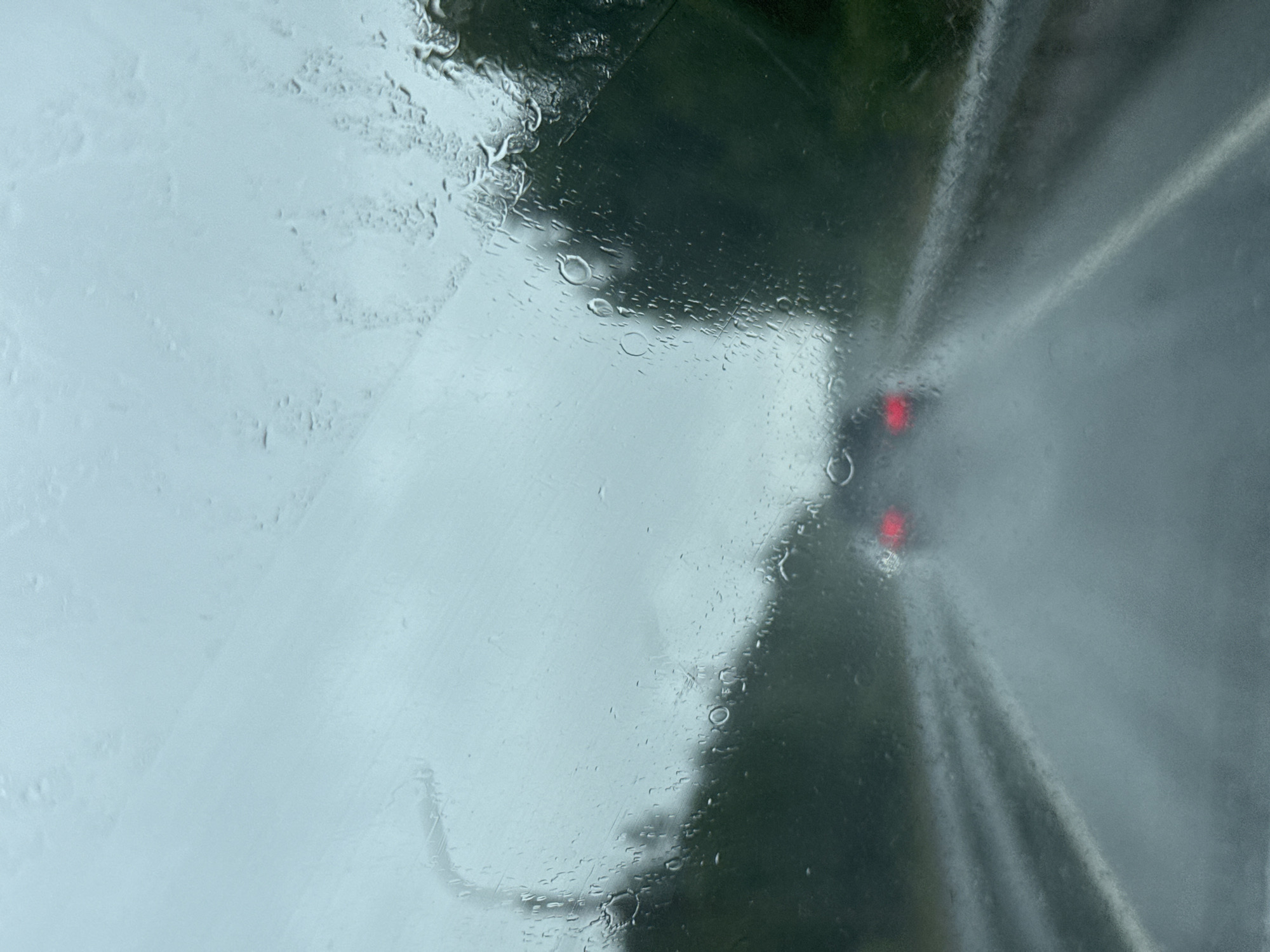 The image depicts a view from inside a vehicle driving on a wet road during rainfall, likely in Pesochnoe, Russia. The windshield is covered in raindrops and streaks, obscuring the view of the road ahead and the surrounding environment. Two red taillights of a vehicle in front are visible, indicating they are also driving in the rain. The sky appears overcast and grey. Trees and foliage are visible on either side of the road, blurred by the rain and distance. The overall atmosphere is gloomy and wet.