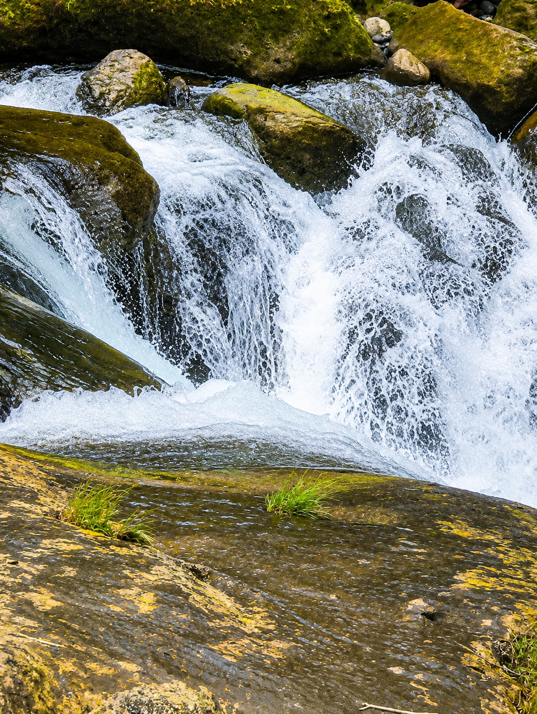 This is a medium shot, vertical, close-up photograph of a waterfall flowing over rocks in Gunung Ambat, Indonesia. The water is white and foamy, cascading over dark, moss-covered rocks. The foreground features a flat, wet rock surface with two patches of green grass. In the background, larger moss-covered rocks are visible, with some smaller pebbles and rocks interspersed. The water appears to be flowing from the top of the image downwards. There are no people or animals visible in the image. The overall scene depicts a natural, untouched environment.