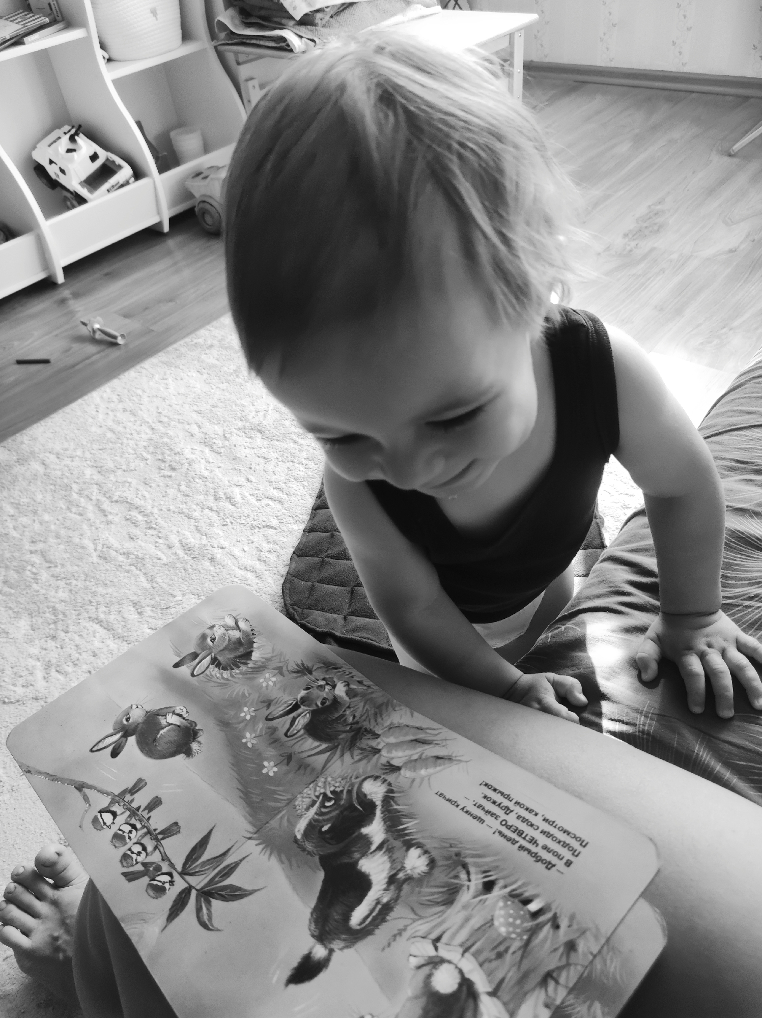 A black and white photograph depicts a young child looking down at an open book. The child is wearing a dark tank top and lighter-colored bottoms, resting their hands on an adult's lap, which is covered in a patterned fabric. The open book shows illustrations of animals, including rabbits and a badger. Text in Russian is visible on the right page of the book. In the background, there is a white bookshelf with toys and a wooden floor. The scene appears to be indoors, possibly a home in the city of Chaikovsky, Russia.