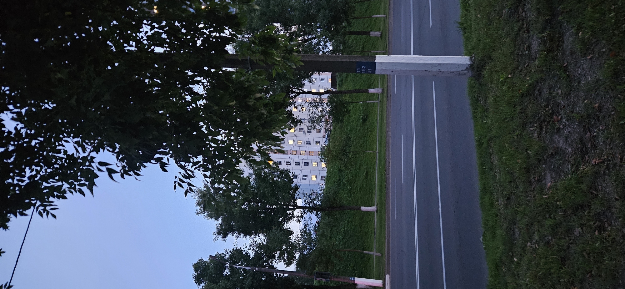 The image shows a street scene at dusk in Vitsebsk, Belarus. A multi-story residential building with illuminated windows is visible in the background, situated on a grassy incline. Trees line the street and the incline, with some of their trunks painted white near the base. A paved road with white lane markings runs horizontally across the foreground. A lamppost, also with a white-painted base, stands on the right side of the image, bearing some blue markings. The sky is a deep blue, indicating the transition from day to night. There are no people or vehicles visible in the frame. The overall impression is one of a quiet urban evening.