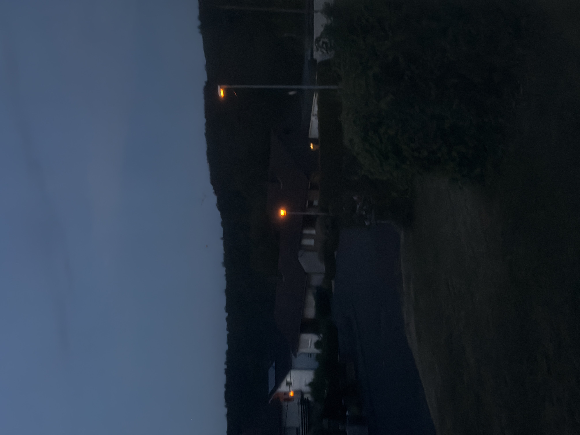 The image depicts a residential area in Idar-Oberstein, Germany, during dusk or early evening. The sky is a dark, overcast blue, indicating low light conditions. In the mid-ground, several houses are visible, characterized by their pitched roofs and illuminated windows, suggesting occupancy. One house on the left has a light visible through a window and a solar panel on its roof. Streetlights with orange illumination are present, one in the mid-ground near the houses, and another further to the right, casting light onto the asphalt road. The road curves through the scene, bordered by dark green foliage and manicured grass in the foreground. A dense, dark treeline forms the background, suggesting a rural or semi-rural setting. No people are visible in the image. The overall impression is one of a quiet, suburban environment at twilight.