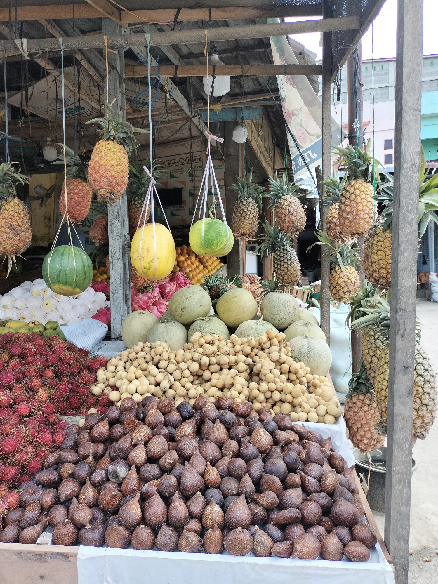 This image captures a vibrant outdoor fruit stall in Kotapantonlabu, Indonesia. The stall is laden with a diverse array of fruits, creating a colorful and abundant display. In the foreground, a large pile of dark brown, scaly fruits, likely salak, is prominently featured. To the left of the salak, a mound of bright red, spiky fruits, identifiable as rambutans, adds a striking contrast.
Behind the foreground fruits, a collection of light-yellow, round fruits, possibly langsat or duku, are piled high. Above these, several melons, some pale green and others yellowish-white, are arranged. Hanging from the stall's roof structure are several pineapples, some golden yellow and others a more muted orange-red. Also suspended are two round fruits, one a bright yellow melon and the other a green watermelon. Interspersed among the hanging fruits are glimpses of the stall's rustic wooden construction and corrugated metal roofing.
In the background, stacks of white-wrapped fruits, possibly pears or lychees, are visible. Further back, the scene fades into a blurred view of what appears to be other market stalls or buildings, with glimpses of what might be a building with a greenish facade and some windows. The overall impression is that of a bustling local market scene, showcasing the fresh produce available in the region. There are no people clearly visible in the image, and the focus is entirely on the fruit display and the market stall itself.