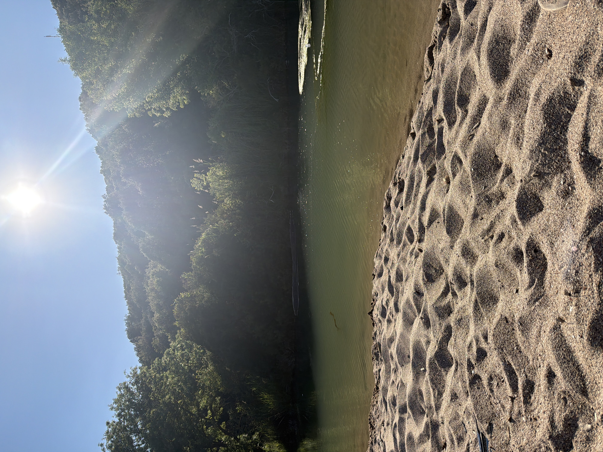 The image shows a riverbank in a natural setting, likely near the city of Prijevor, Montenegro, though specific landmarks are not visible. The left side of the image is dominated by lush, green vegetation growing on a steep slope or hillside, with the sun shining brightly behind it, creating strong highlights and shadows. The river itself flows horizontally across the middle, its water a murky green color. The right side of the image is comprised of sandy terrain, showing footprints or patterns pressed into the sand. There are no people visible in the image. The focus is on the natural elements of the landscape.