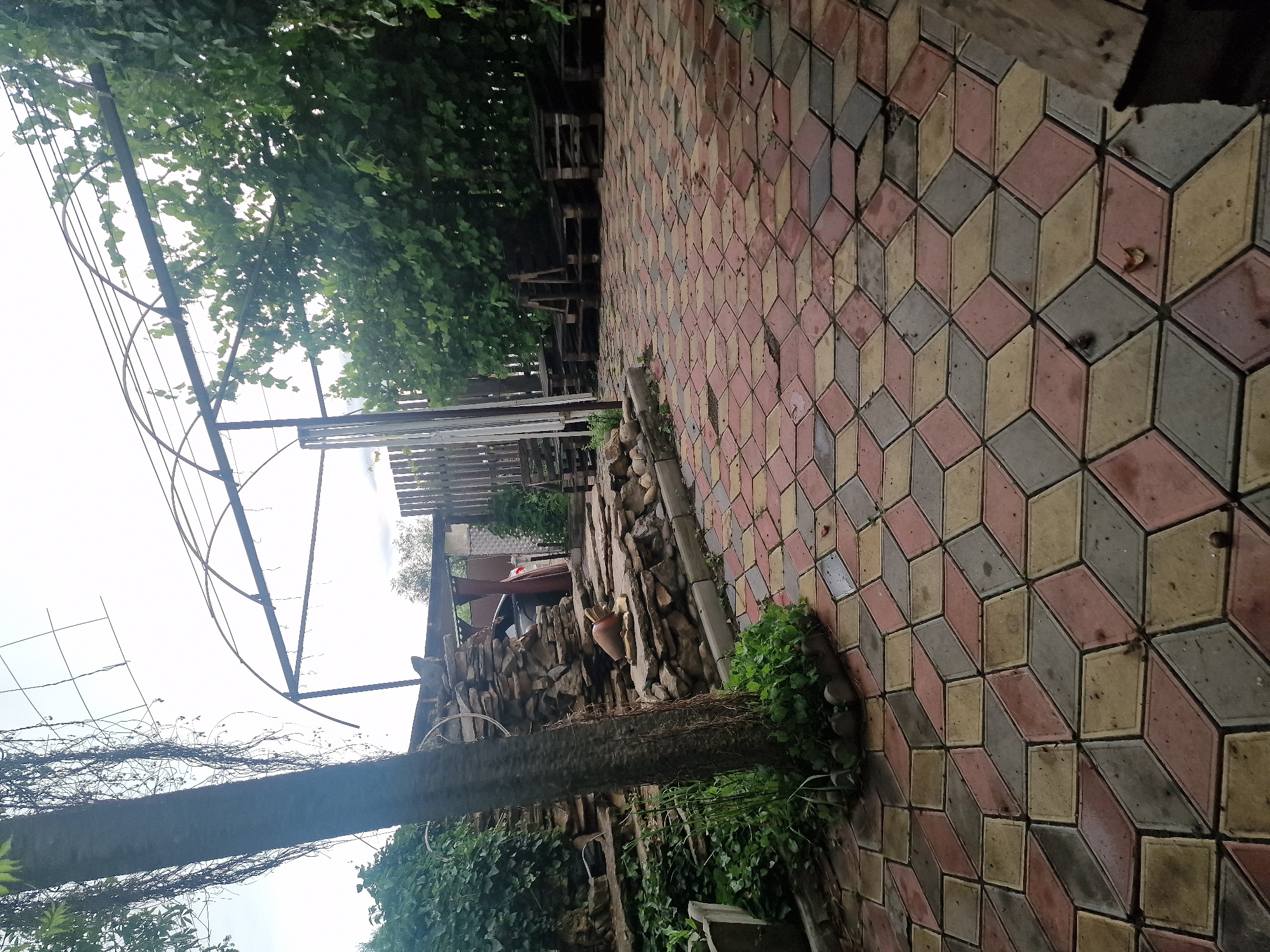 A paved courtyard area is depicted, likely located in Kursavka, Russia. The ground is covered with interlocking paving stones in shades of red, yellow, and grey, arranged in a geometric pattern that creates a visual illusion of depth. To the left, a thick tree trunk stands prominently, with overgrown vines hanging from above and lush green foliage surrounding its base. Behind the tree, a tiered stone structure rises, adorned with a decorative ceramic jug. Further back, a metal archway structure extends across the scene, supporting greenery. Several wooden pallets have been repurposed as seating in the background. The overall atmosphere suggests an outdoor recreational or garden space.