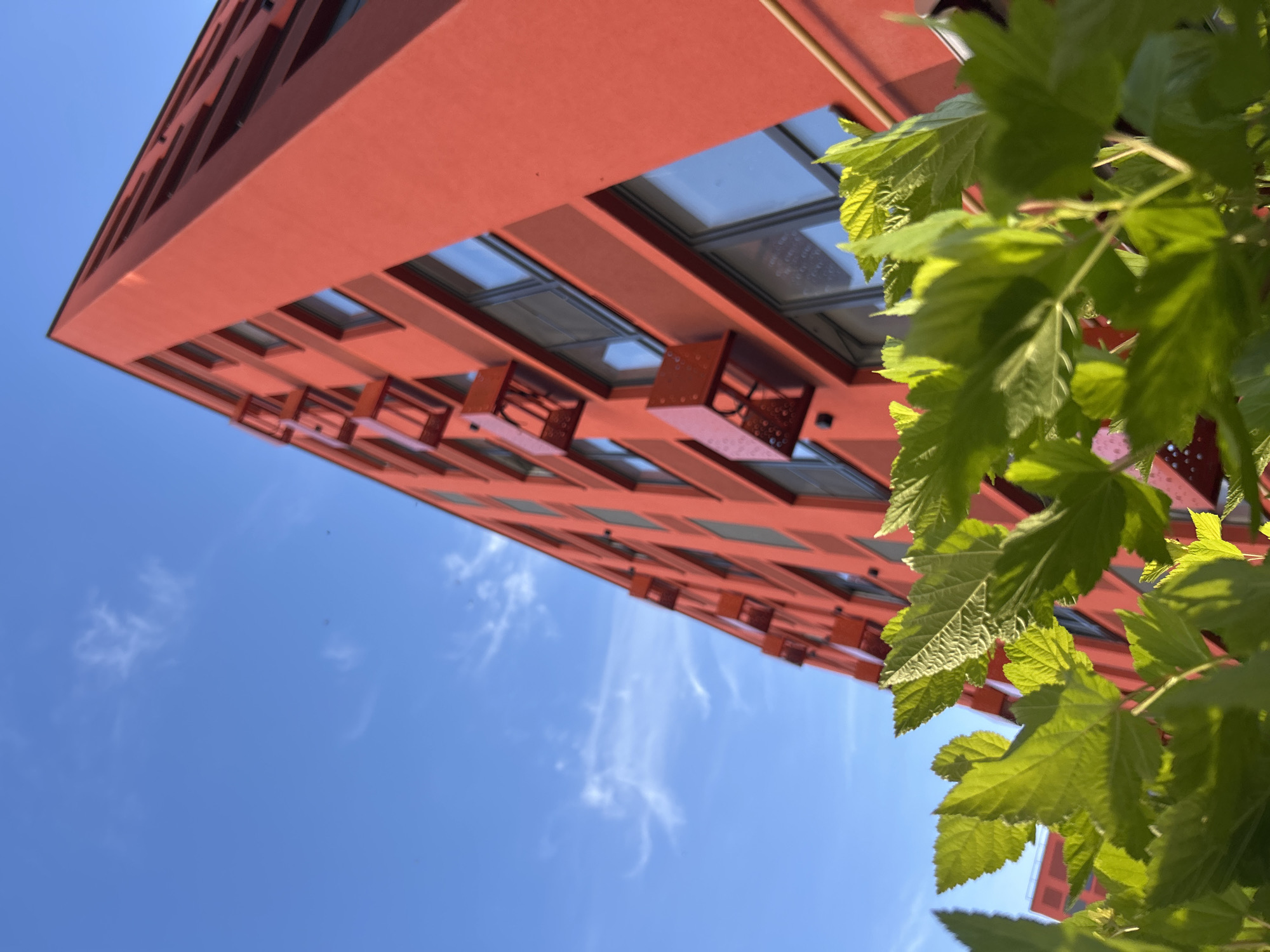 The image shows a low-angle view of a modern, red-colored building with a latticed exterior, observed from below against a bright blue sky with wispy white clouds. The building's design features repeating horizontal and vertical elements, creating a rhythmic pattern of shadows and light. Some sections of the building reveal large windows, reflecting the sky.
In the foreground, a cluster of vibrant green leaves from a plant drapes into the frame, partially obscuring the building. The leaves are detailed, showing their veins and texture, and are illuminated by sunlight, creating a contrast with the stark red of the building.
The scene appears to be set outdoors on a clear, sunny day, likely during daylight hours. The upward perspective suggests the viewer is standing at the base of the building and looking up. The presence of the foliage implies an urban or semi-urban setting where greenery is incorporated into the landscape or architectural design. No people are visible in the frame. There is no visible text in the image. The location context is Kaluga, Russia.