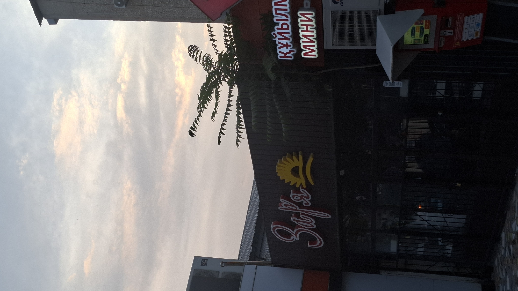 The image captures the exterior of a building in Shymkent, Kazakhstan, with a clear sky and scattered clouds in the background. The building features a dark, corrugated facade with illuminated signage. On the left, the sign reads "Зарк" in a stylized font, accompanied by a yellow sun-like logo. To the right, a sign displays "ҚҰЙЫЛМА" in white letters on a red background, with "МИНИ" below it. A tree with delicate, serrated leaves grows in front of the building, partially obscuring the right side of the "Зарк" sign.
Below the building's facade, a dark, gated entrance is visible, with metal bars and a padlock securing it. Through the gate, the interior of the building appears dark, with reflections on the glass. To the right of the entrance, a red machine with a screen and buttons is positioned, likely a payment or self-service kiosk. An air conditioning unit is mounted on the wall above this machine. The ground in front of the building is paved with interlocking stones. The overall scene suggests an urban commercial setting, possibly an establishment that operates in the evening or at night.