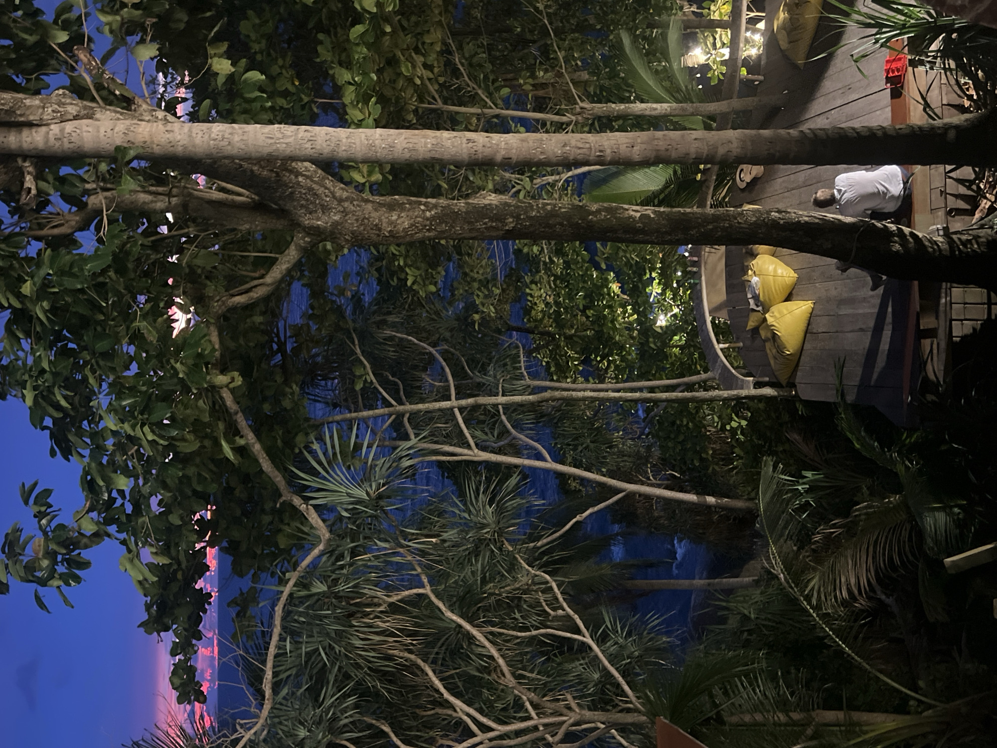 The image depicts a person seated on a wooden deck, surrounded by lush tropical foliage. The person, wearing a light-colored shirt, is facing away from the camera, appearing to be in a relaxed or contemplative posture. Several large, yellow cushions are scattered on the deck, suggesting a lounging or recreational area. The setting is characterized by the presence of trees with thick trunks and abundant leaves, some of which appear to be palm trees. The overall ambiance is that of an outdoor space, likely a resort or a private residence, nestled within a natural environment.
The time of day appears to be dusk or early evening, as indicated by the deep blue sky and the soft, ambient lighting from what seem to be string lights in the background, casting a warm glow on the scene. The reflections in the water visible behind the trees also suggest a twilight hour. The weather seems to be calm and pleasant, conducive to outdoor relaxation.
The location context of Karon, Thailand, combined with the tropical vegetation and the open-air wooden deck, strongly suggests a coastal or beachside setting. The presence of the ocean is hinted at by the reflective surface in the background, and the tropical flora confirms a warm climate location. There is no visible text in the image. The image evokes a sense of tranquility and escape, perhaps capturing a moment of quiet enjoyment at the end of a day.