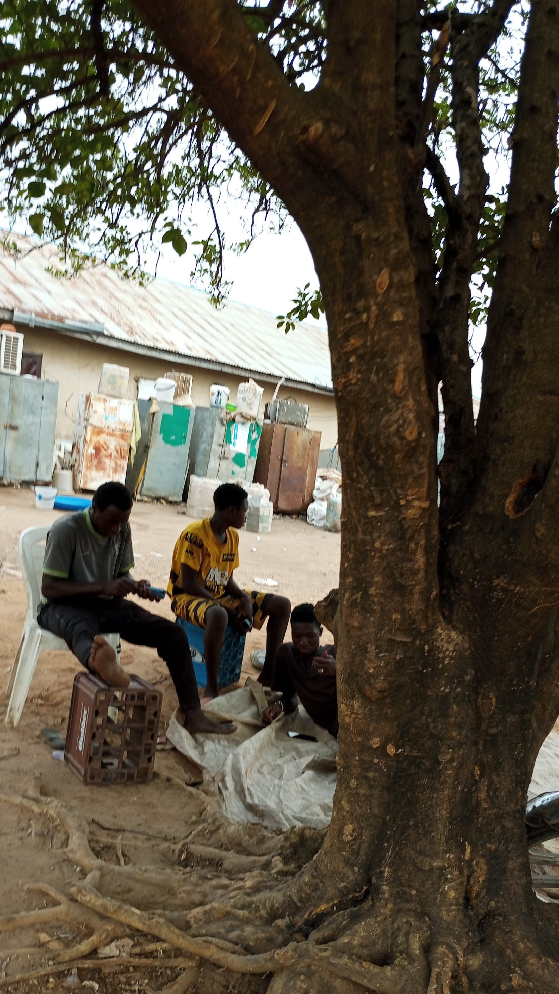 Three young men are sitting near a large tree with exposed roots in Adankolo, Nigeria. One man sits on a white plastic chair and uses a mobile phone, with one bare foot propped on a brown plastic crate. A second man, wearing a yellow and black shirt and shorts, sits on a blue plastic crate. A third man sits on a white sheet spread on the ground, also using a mobile phone. Behind them, in the background, are several old, discarded refrigerators and storage cabinets outside a building with a corrugated metal roof.