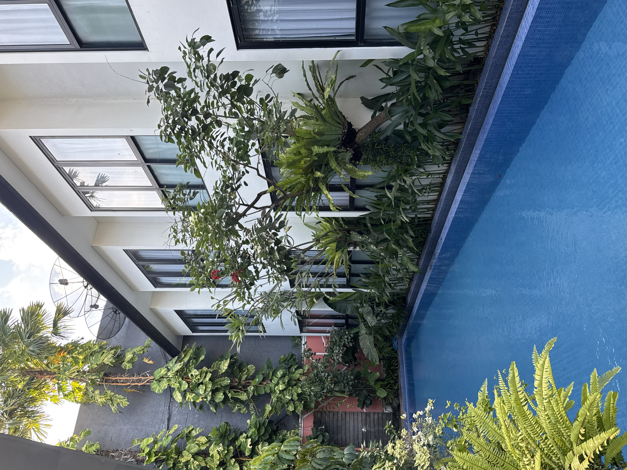 The image depicts an outdoor setting with a swimming pool in North Kuta, Indonesia. The pool has blue tiled edges and clear blue water. Lush greenery surrounds the pool, including ferns and various leafy plants. A multi-story white building stands adjacent to the pool, featuring numerous windows with black frames. A tree with sparse foliage grows near the building. A gray wall and satellite dishes are visible in the background. The lighting suggests it is daytime.