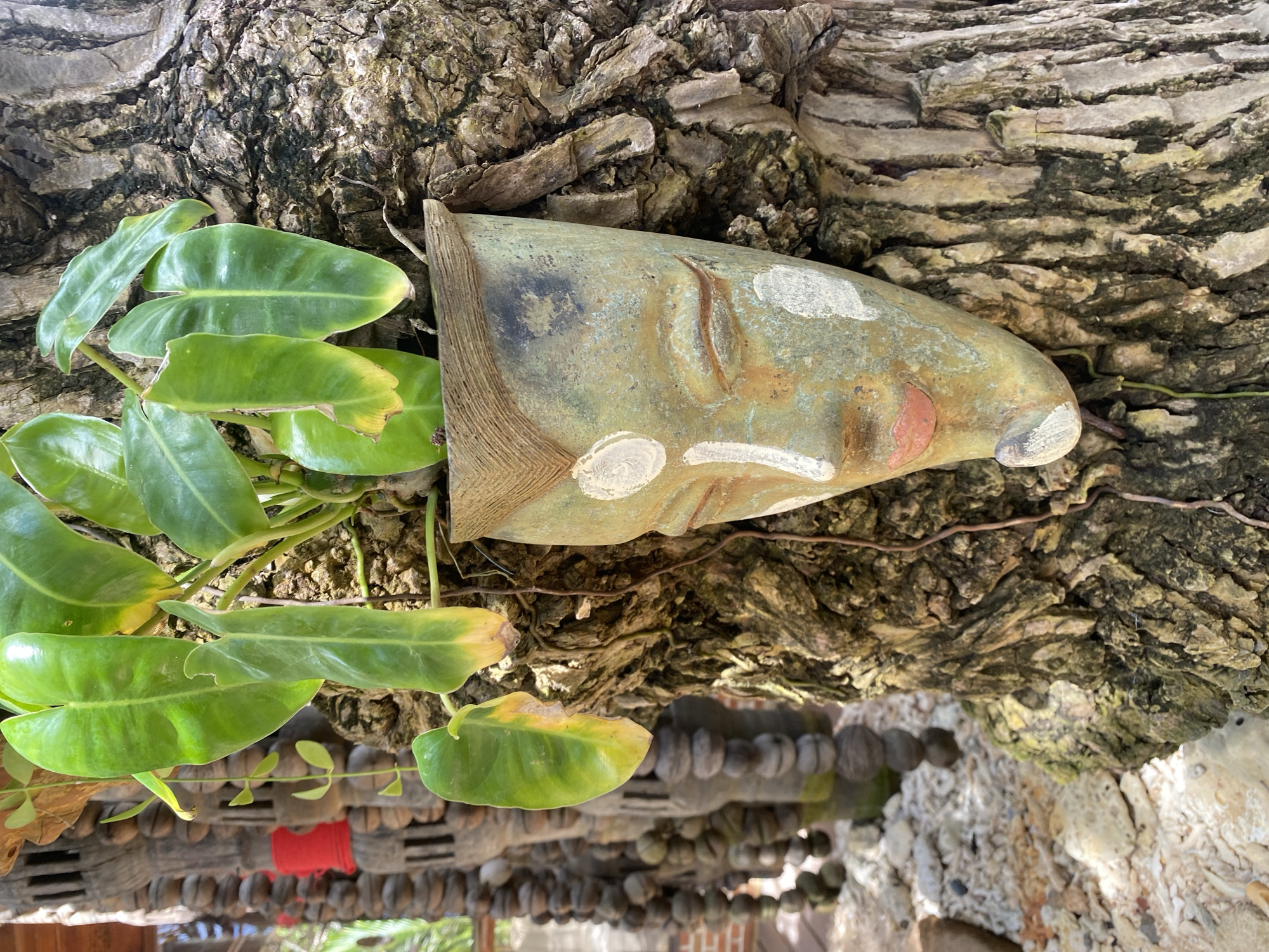 The image shows a planter shaped like a mask, attached to a tree. The mask is a pale green with white and reddish-pink accents, depicting closed eyes and lips. A plant with large, green leaves is growing out of the top of the mask. The tree bark is rough and textured, and some vines are visible. In the background, to the left, there is a decorative wooden structure with carved elements and red fabric, and a path covered in light-colored pebbles and shells. The scene appears to be outdoors in a tropical environment, likely in the city of Koh Phangan, Thailand, given the visual cues of lush vegetation, weathered materials, and decorative elements often found in such locations.