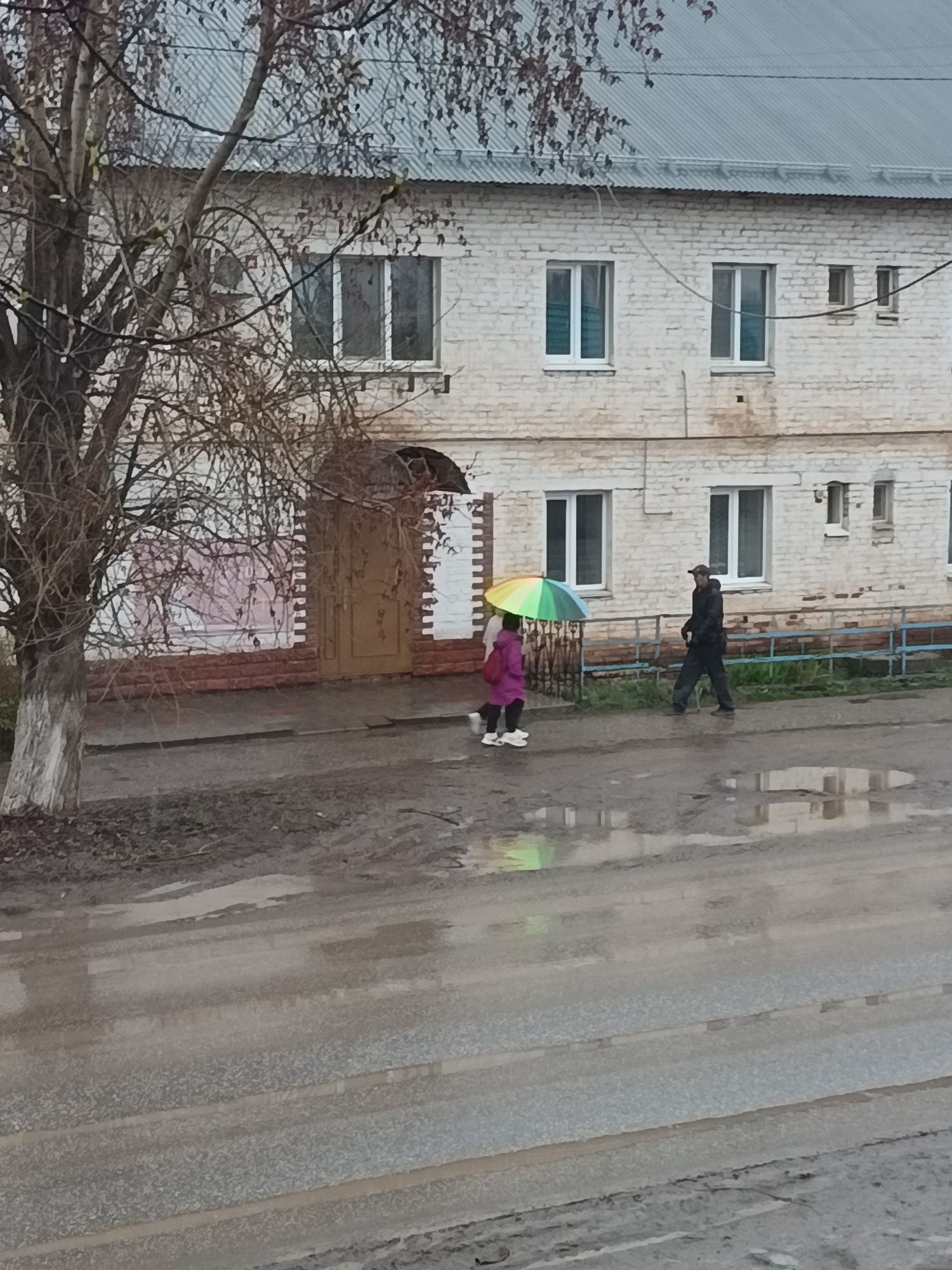 The image depicts an overcast outdoor scene, likely a street or sidewalk in Osa, Russia, on a damp day. A two-story building forms the backdrop, constructed of light-colored bricks with a grey, corrugated metal roof. It features several white-framed windows on both floors, with a prominent arched entrance and a large, obscured storefront window on the ground level.
On the left, a tall, bare-branched tree stands, suggesting late autumn or early spring. The ground is a mix of wet pavement and muddy patches, with numerous puddles reflecting the dull sky, indicating recent rainfall.
Two individuals are walking from left to right across the scene. The first, a smaller person wearing a bright purple jacket and white sneakers, carries a vibrant, multi-colored rainbow umbrella, open and providing shelter. Slightly ahead and to their right walks an adult male, dressed in dark clothing including a cap, and using a walking stick or cane. A low, light blue metal fence runs in front of the building's ground level.
The time of day appears to be daytime, but the heavy cloud cover gives a muted light. No legible text is visible on any signs or surfaces within the image.