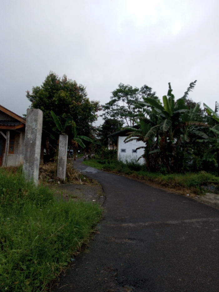 An outdoor scene in Serpang Shalli, Bhutan, features a curving asphalt road under an overcast, light grey sky. In the immediate foreground on the left, overgrown green grass borders the roadway. To the left of the grass, a section of a house with a brown tiled roof and light-colored walls is visible, flanked by two weathered, upright concrete posts. The dark grey asphalt road curves towards the right and recedes into the distance, showing some surface wear. On the right side of the road, a white, single-story building with small rectangular window openings is partially concealed by dense green vegetation, including prominent banana plants. Further along the curving road in the midground, a blurry figure is visible operating what appears to be a motorcycle or scooter. The background and surrounding areas are filled with various lush green trees and foliage. No other individuals or active interactions are clearly discernible within the static scene.
