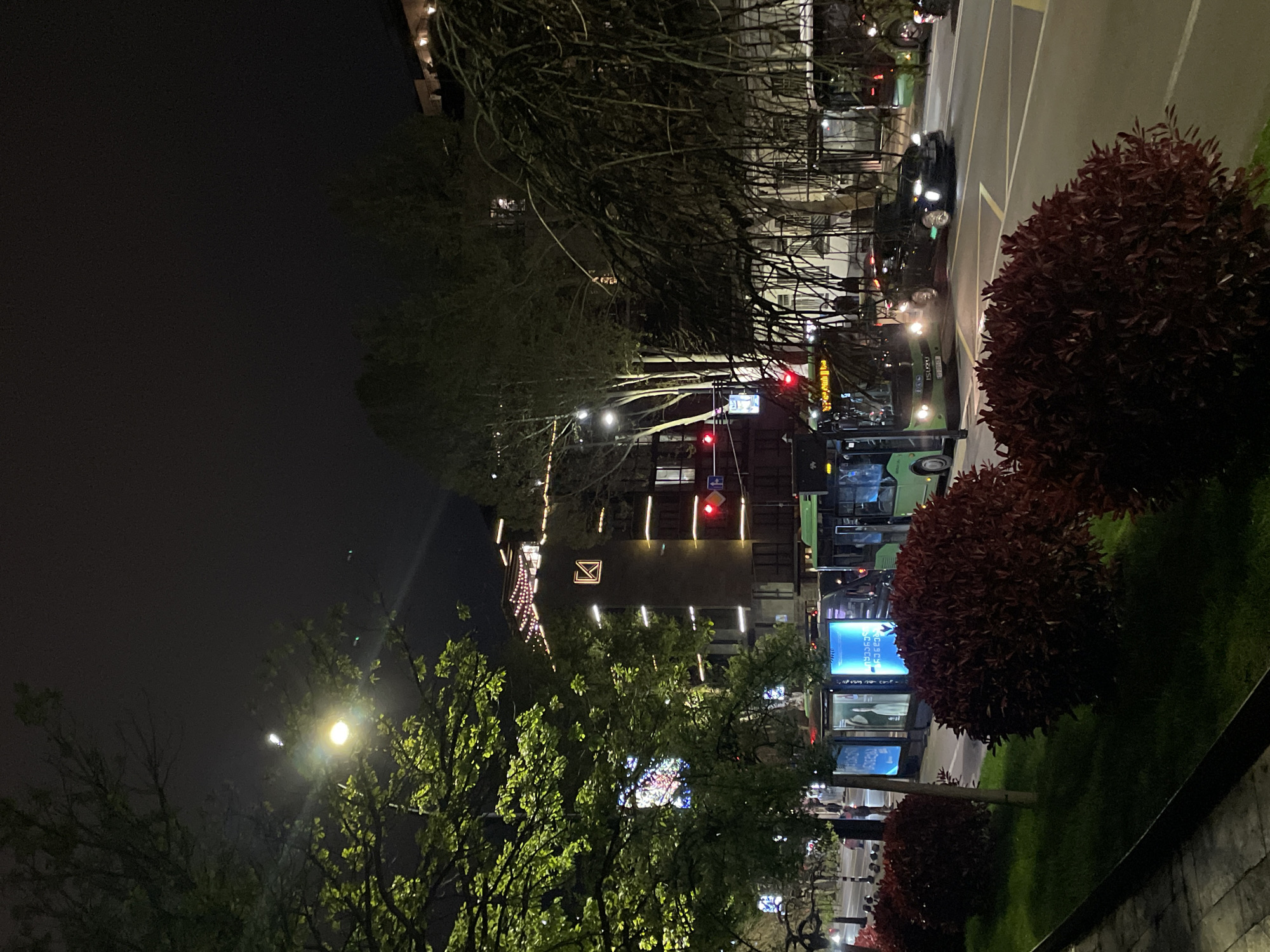 An evening street scene in Tbilisi, Georgia, captures an urban environment bustling with activity under the dim glow of artificial lights. The perspective is slightly elevated, looking down towards a multi-lane road and buildings beyond.
In the foreground, a strip of manicured green grass is adorned with several round, dark red-leafed bushes, providing a natural contrast to the concrete and asphalt. The road, delineated by yellow and white markings, hosts moving traffic, including a prominent dark-colored car with bright headlights on the right and several distinct green public buses on the left. Two buses are clearly visible, one positioned near a bus stop featuring illuminated advertising panels. Red traffic lights indicate a stop for vehicles facing the viewer.
The midground and background reveal numerous trees, some with bare branches creating intricate silhouettes against the night sky, and others with green leaves, illuminated by streetlights. Several multi-story buildings line the street, their facades marked by glowing windows and vertical strips of light. One building prominently displays a white, stylized logo resembling an envelope or the letter 'M'. The sky above is dark, indicating nightfall.
Visible text on one of the illuminated bus stop advertisements is in Georgian script, clearly showing "საქართველოს ფოსტა" (Sakartvelos Posta), which translates to "Georgian Post." The scene evokes a typical evening in a vibrant city, with the flow of traffic and the interplay of natural elements with urban architecture and lighting.