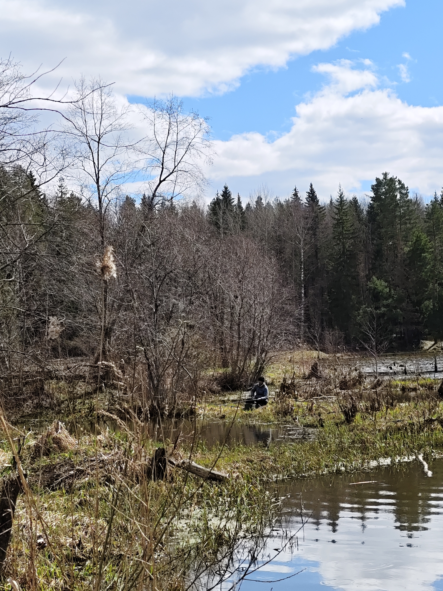 The image depicts a waterlogged area, likely a marsh or swamp, in a wooded environment. In the middle ground, a person is seated near the water's edge. The person is wearing a dark-colored jacket. They appear to be engaged in an activity with a rod. The foreground consists of tall grasses and marsh plants. The background includes a dense forest of bare trees, some evergreens and some deciduous. The sky is visible with patches of blue and white clouds. Reflection of the sky is visible in the water surface. The location is likely Ural'skoe, Russia.