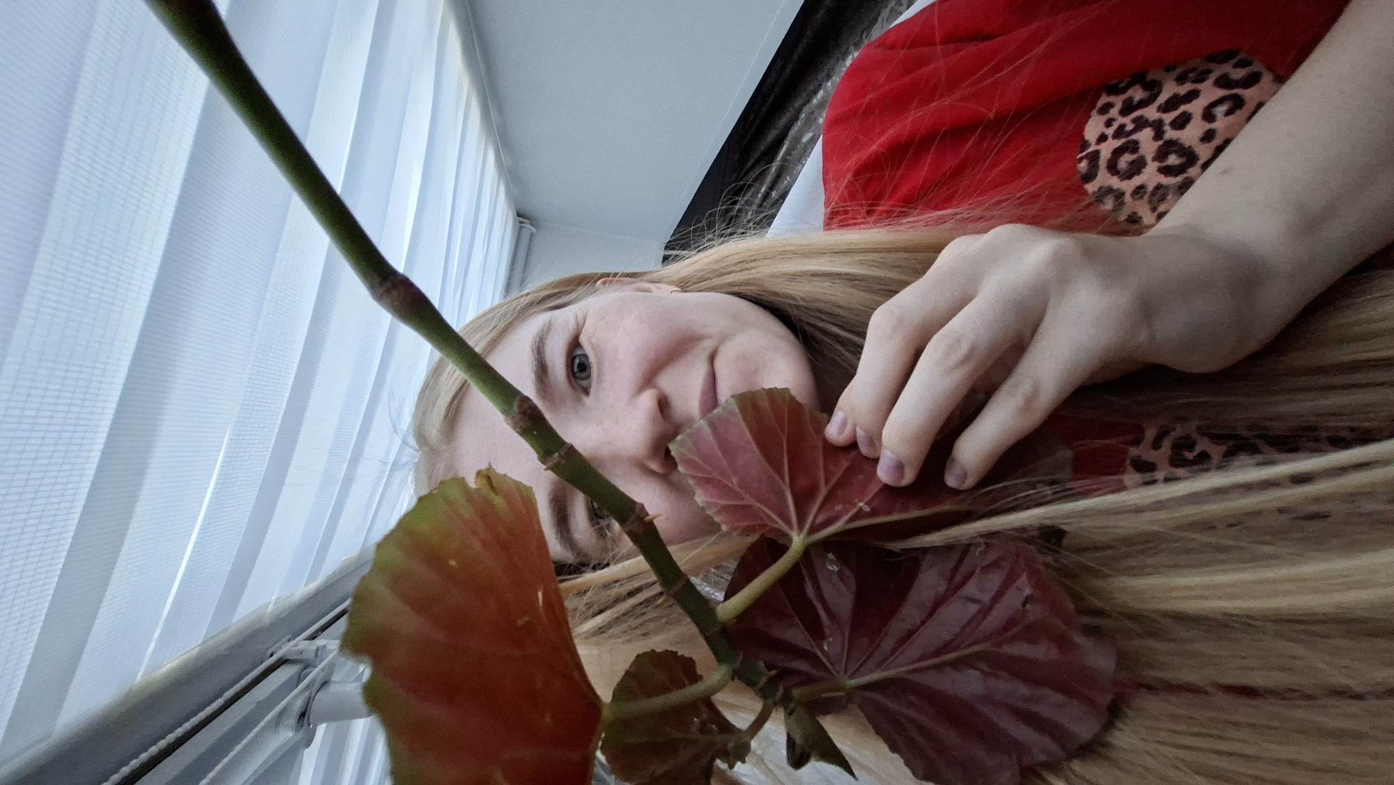 A woman with light skin and light blonde hair is lying down, looking up at the camera from a low angle. She has a reddish top on that has a pattern on one of the shoulders. She is holding a plant with large, reddish-brown leaves in her hand, with the stem of the plant obscuring part of her face. Behind the woman and plant is a window with white blinds. The specific location in the city of Chaikovsky, Russia is not discernible from the image.