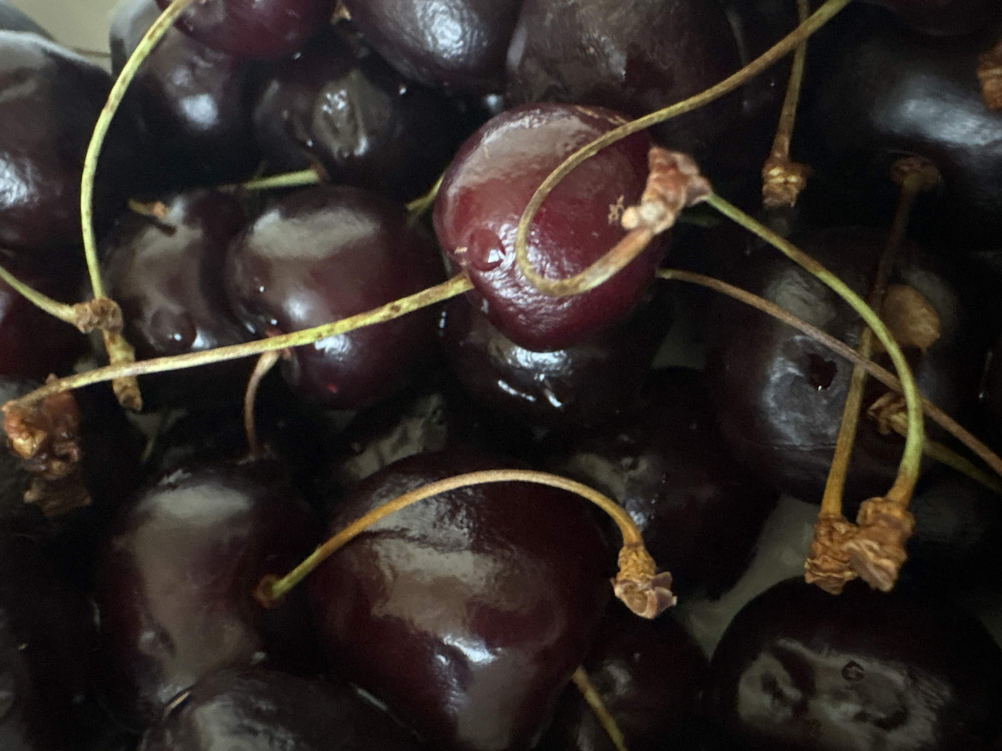 A close-up, overhead shot captures a pile of dark red cherries. The cherries are plump and glossy, with some showing a slight sheen of moisture. The stems are thin and a light green or brown color, with some appearing dried and slightly frayed at the ends where they connect to the cherries. The lighting is dim, creating deep shadows and highlighting the reflective surfaces of the fruit. The background is dark and out of focus, emphasizing the texture and rich color of the cherries. The image appears to be a still life, focusing on the natural beauty and texture of the fruit. There is no indication of the city of Troitsk, Russia, or any people present in the image.