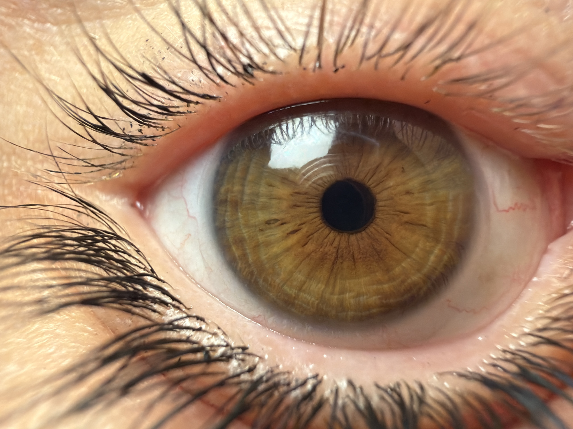 A close-up photograph shows a human eye with a light brown or hazel iris. The pupil is black. Eyelashes are dark and visible around the eye, with some debris or makeup flakes present near the base of the upper eyelashes. Fine blood vessels are visible in the white part of the eye (sclera). A reflection of a sky or light source is visible on the surface of the iris. No information related to the city of North Kuta, Indonesia can be determined from this image.